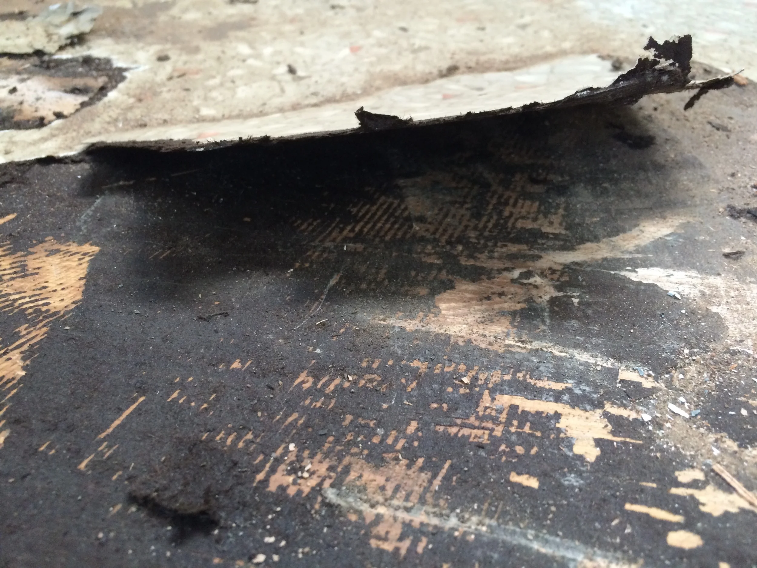 linoleum, the enemy. 