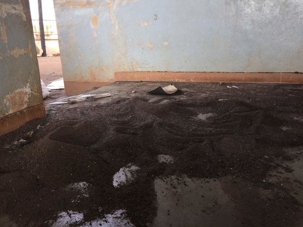  The aftermath of the antenatal ward’s ceiling collapse under the weight of a batt colony. 