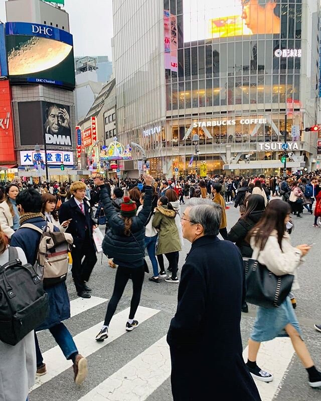 Redbacks on tour! Awesome graphic of Zara in Tokyo representing the club 🔴🕷 The Ashy family wishes everyone a Merry Christmas and a happy New Year!

A quick reminder that registrations for the 2020 season are now open - check us out on the website 