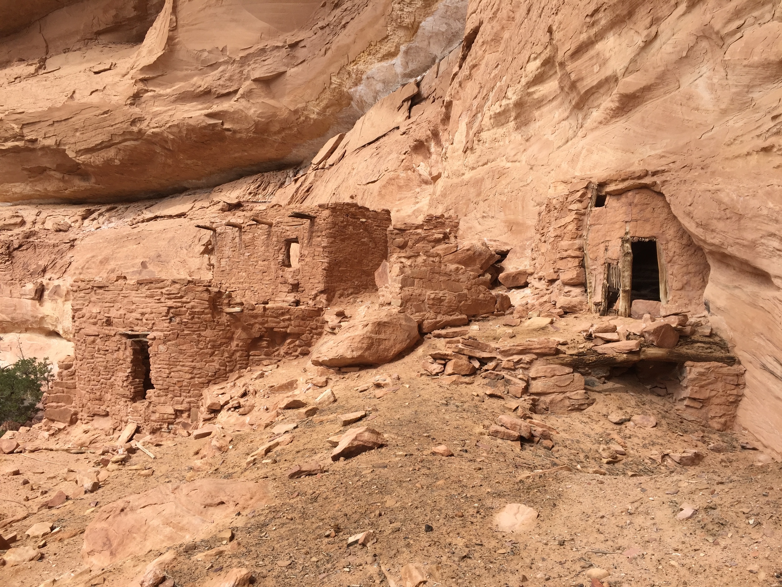 Ancestral Puebloan cliff dwellings in Grand Gulch, UT