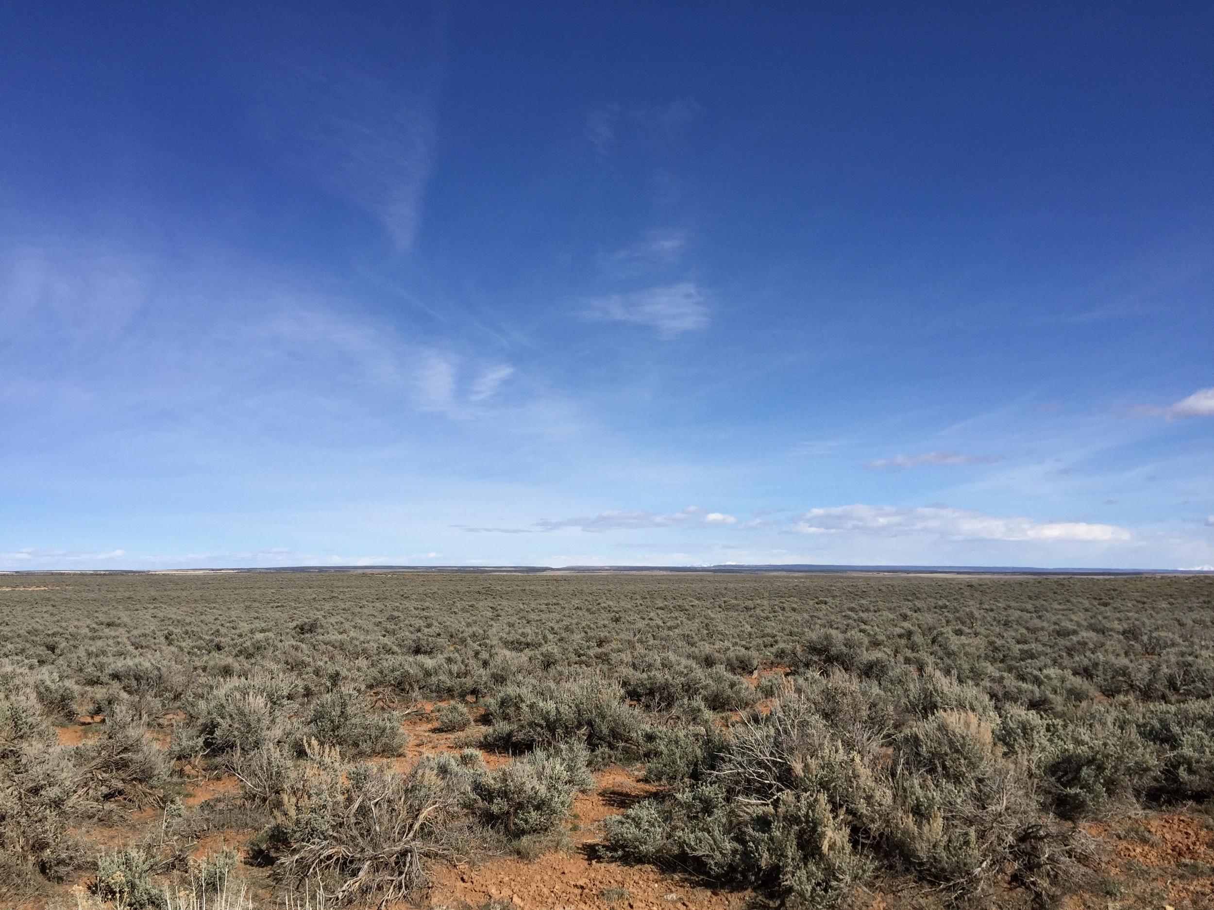 Gunnison Sage Grouse habitat