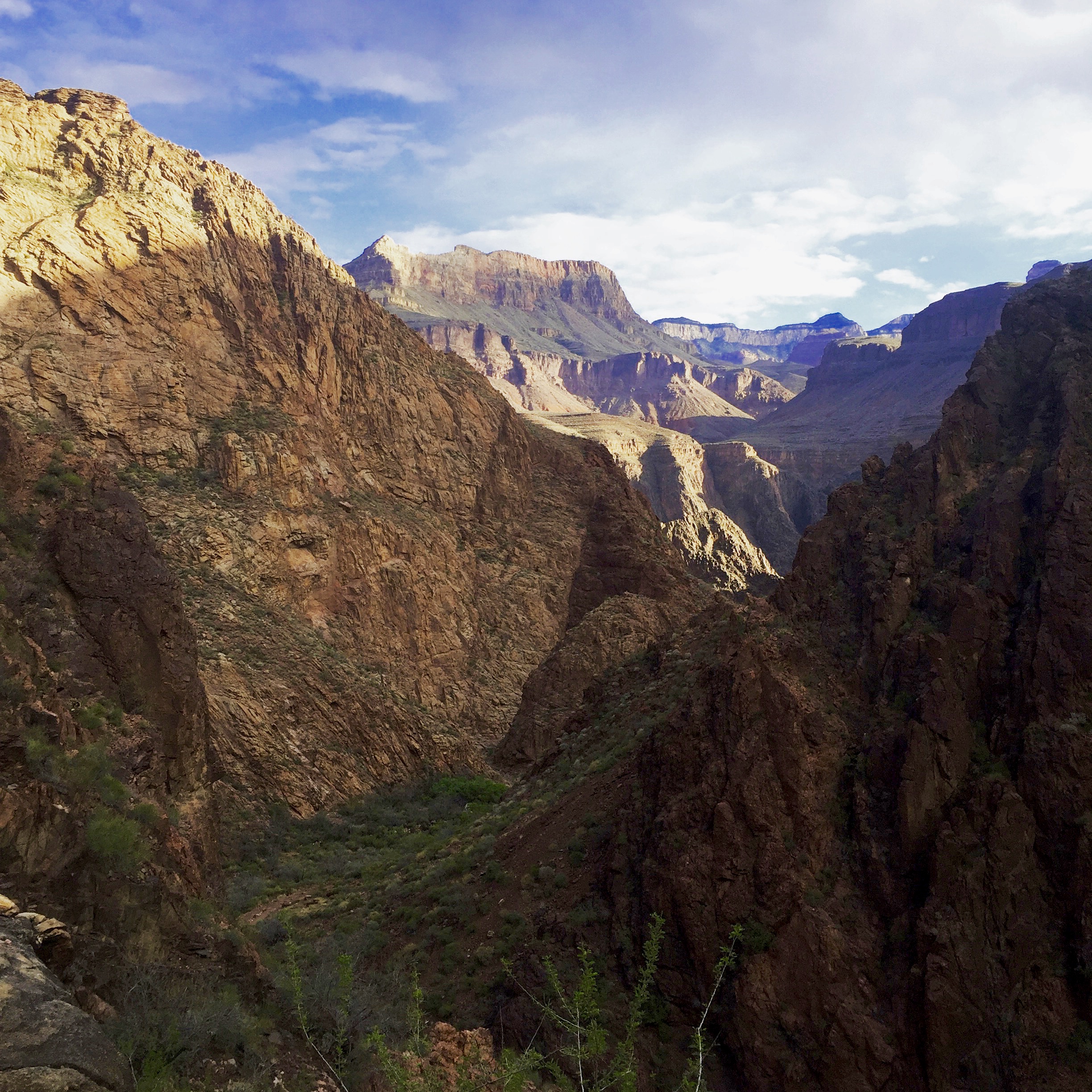 What a beautiful world we live in.