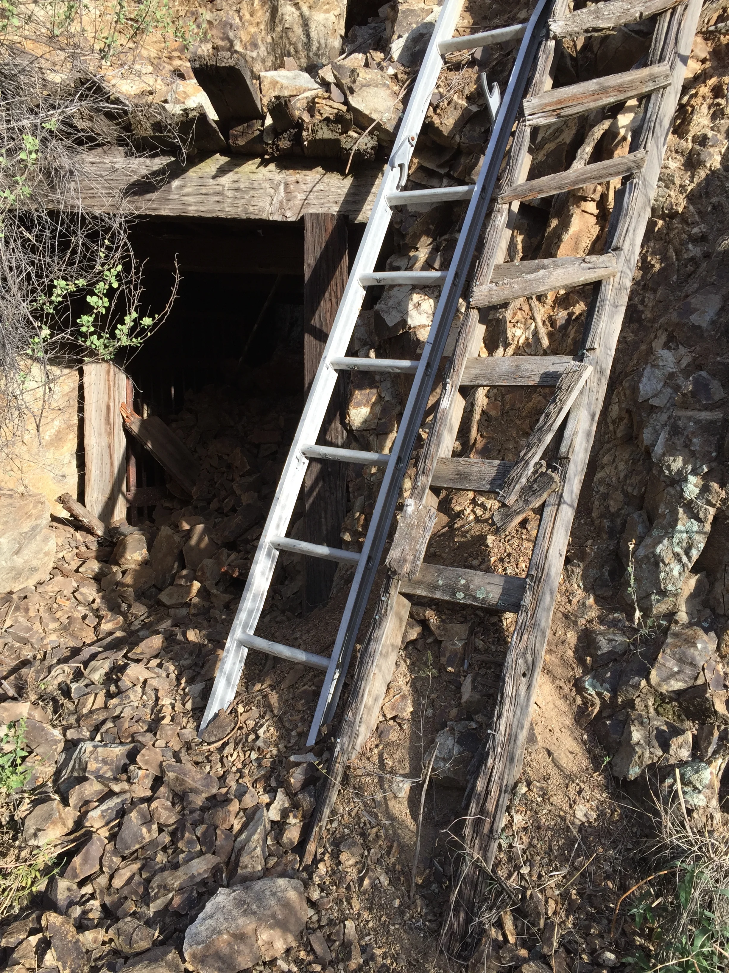 Cool! A ladder! Maybe I'll climb up and see what cool things are inside the mine shaft...