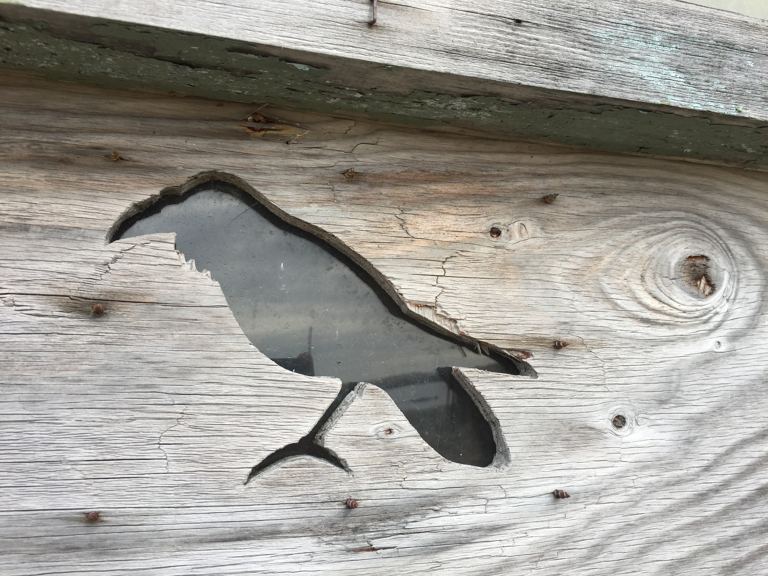 The outline of a Raven cut in the plywood covering a window at Lower Base is one of the only outward signs of the birding history of this building.