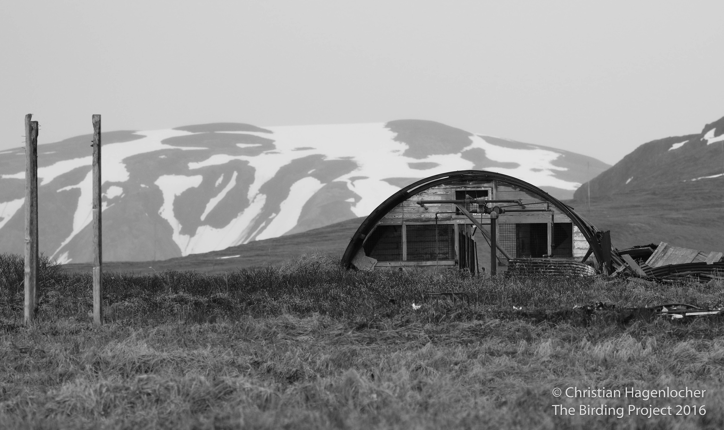 While many structures perish with time and weather, this hut remains standing in Navy Town