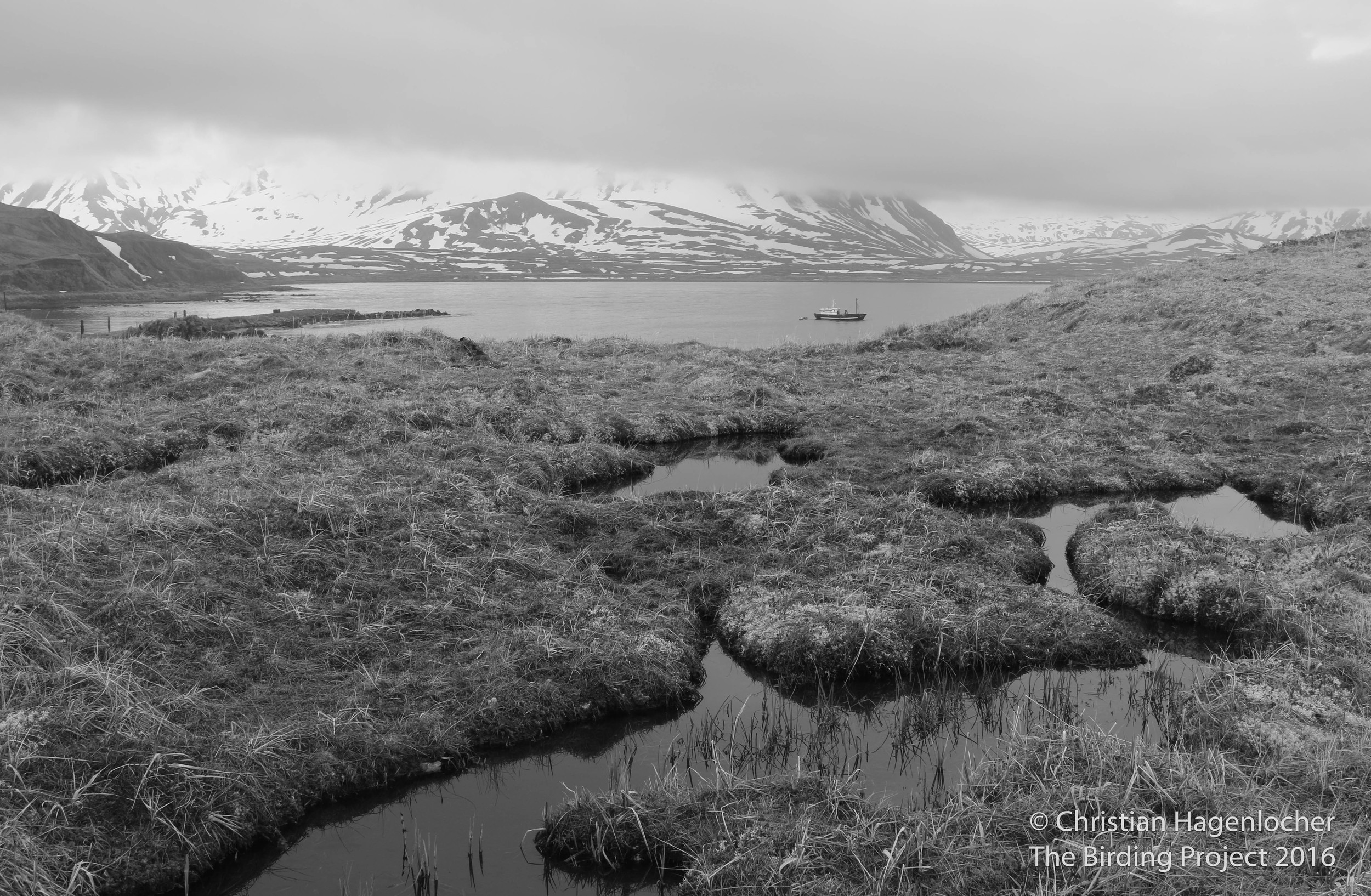 The Pukuk sits at anchor in Casco Bay while birders explore the shores and lakes of Attu