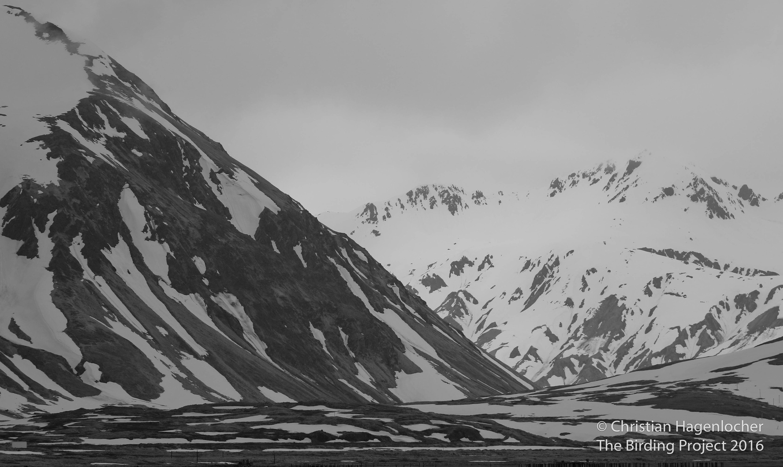 Snow-covered peaks rise from the sea, disappearing into the cloudy sky