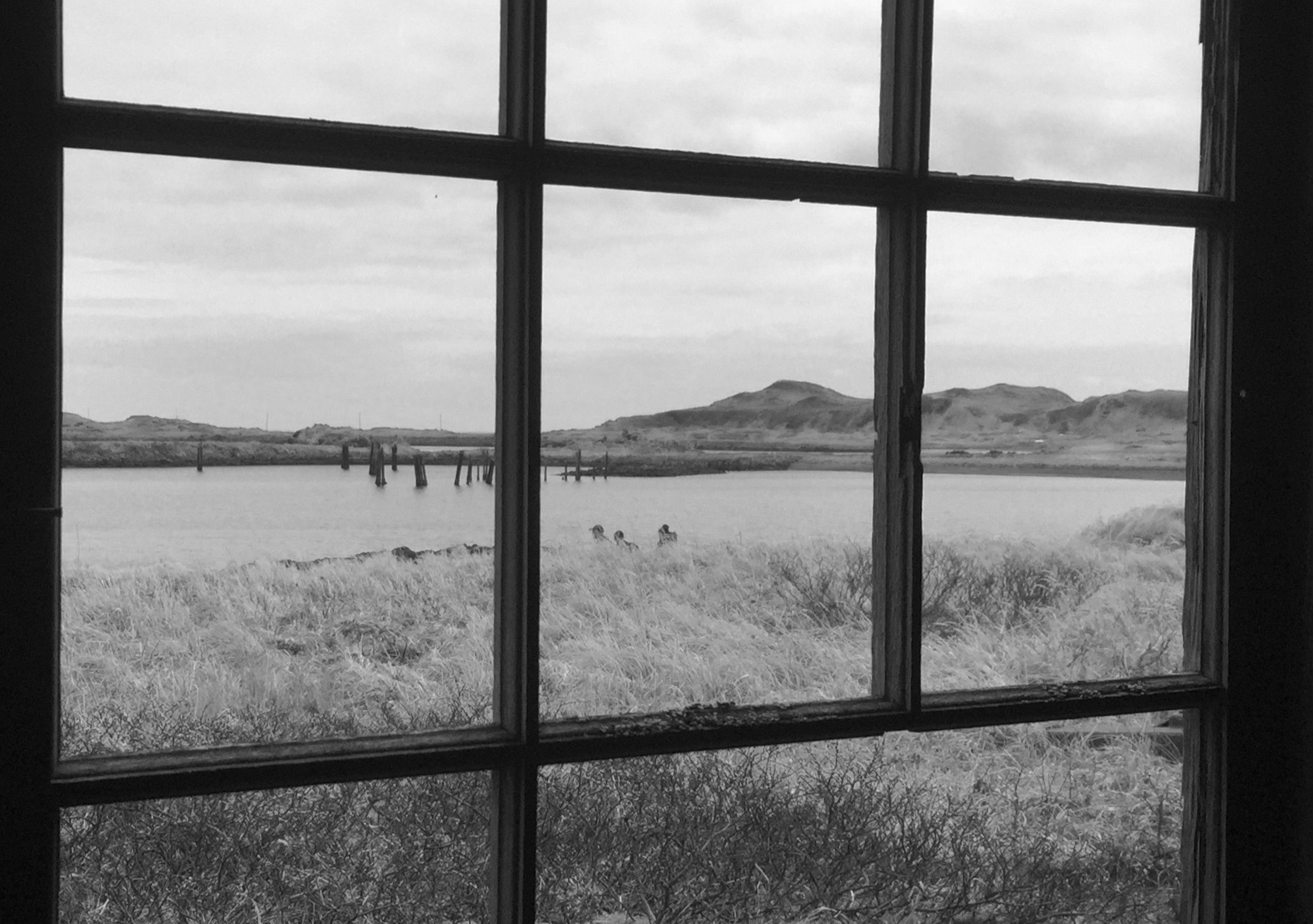 Several birders hike past an abandoned structure along the waterfront 