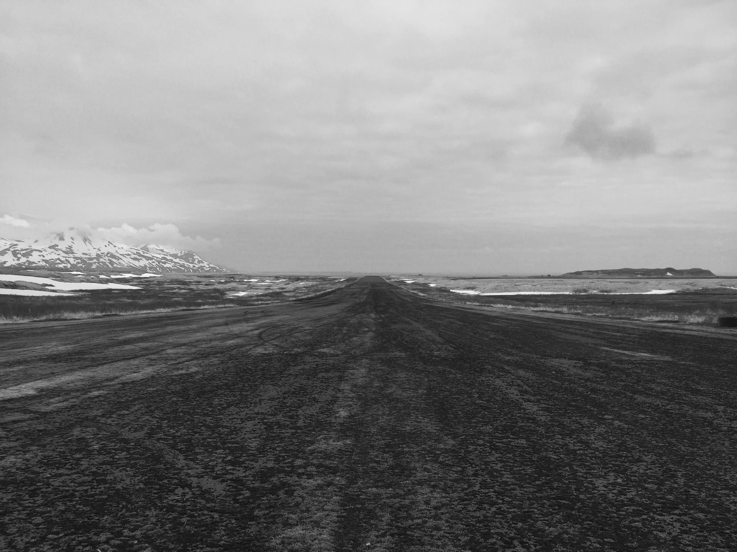 A runway once adorned with lights and fresh paint now carpeted with moss and goose-brand fertilizer&nbsp;