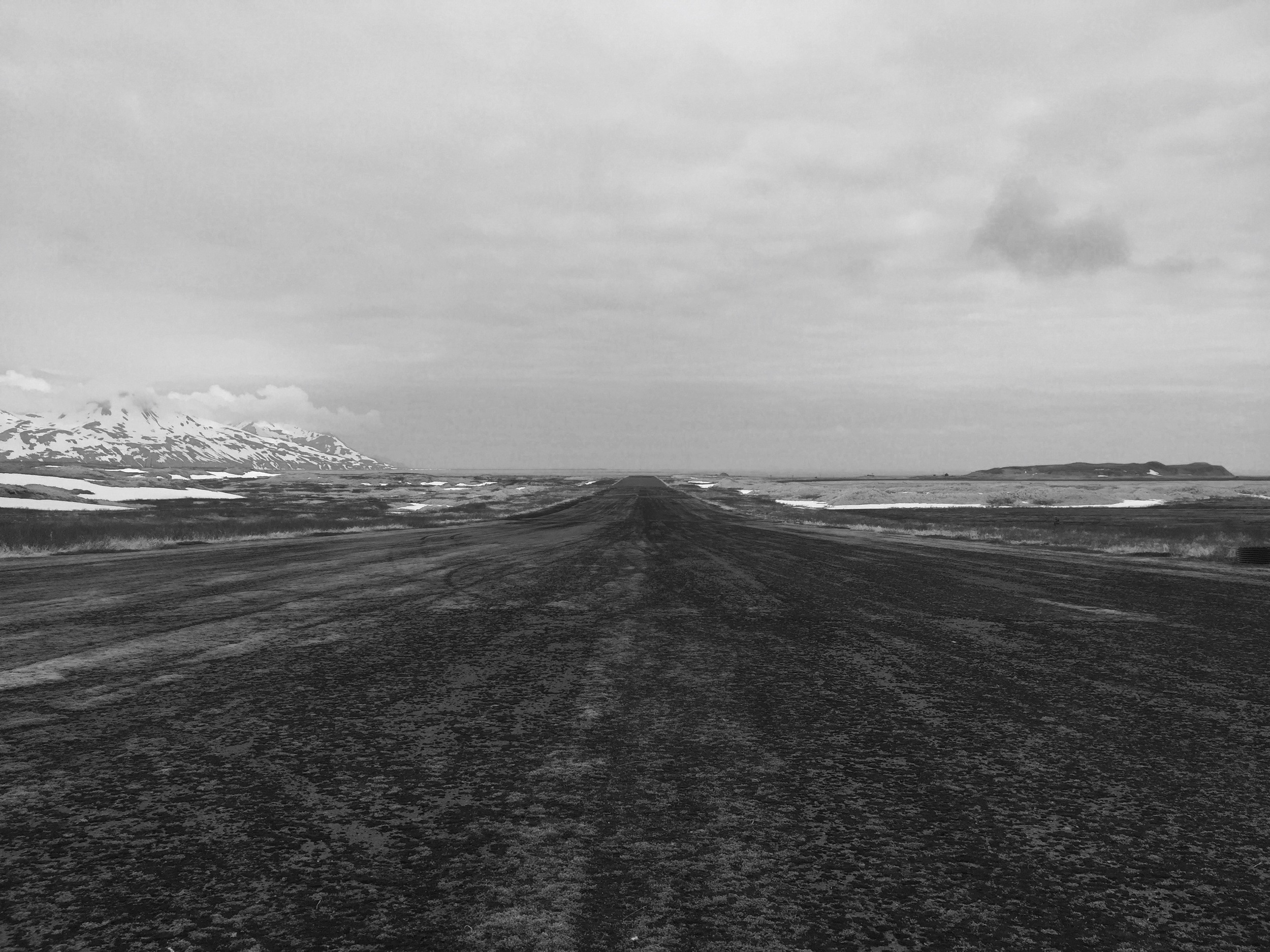 A runway once adorned with lights and fresh paint now carpeted with moss and goose-brand fertilizer 