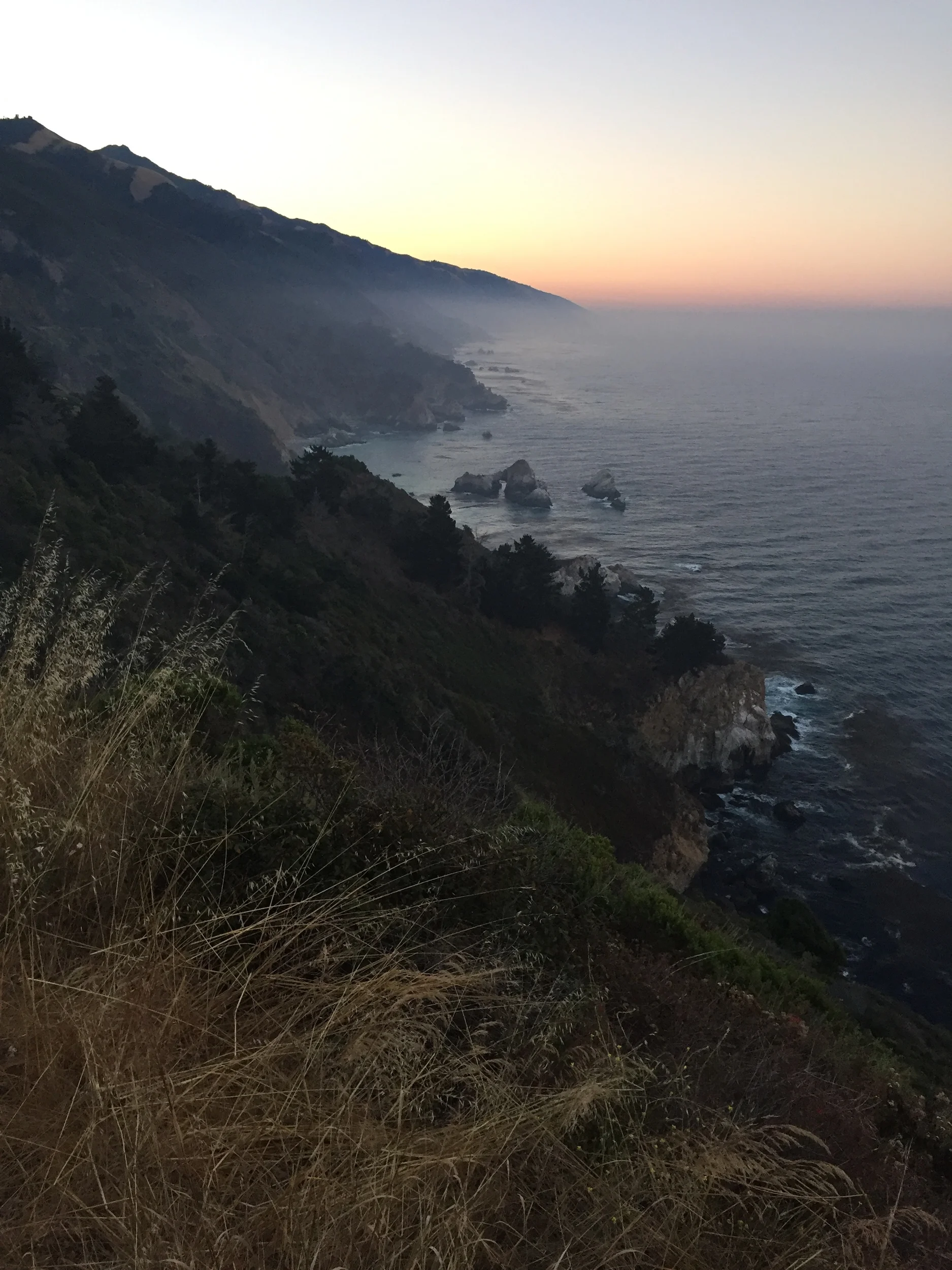 Big Sur: Condors