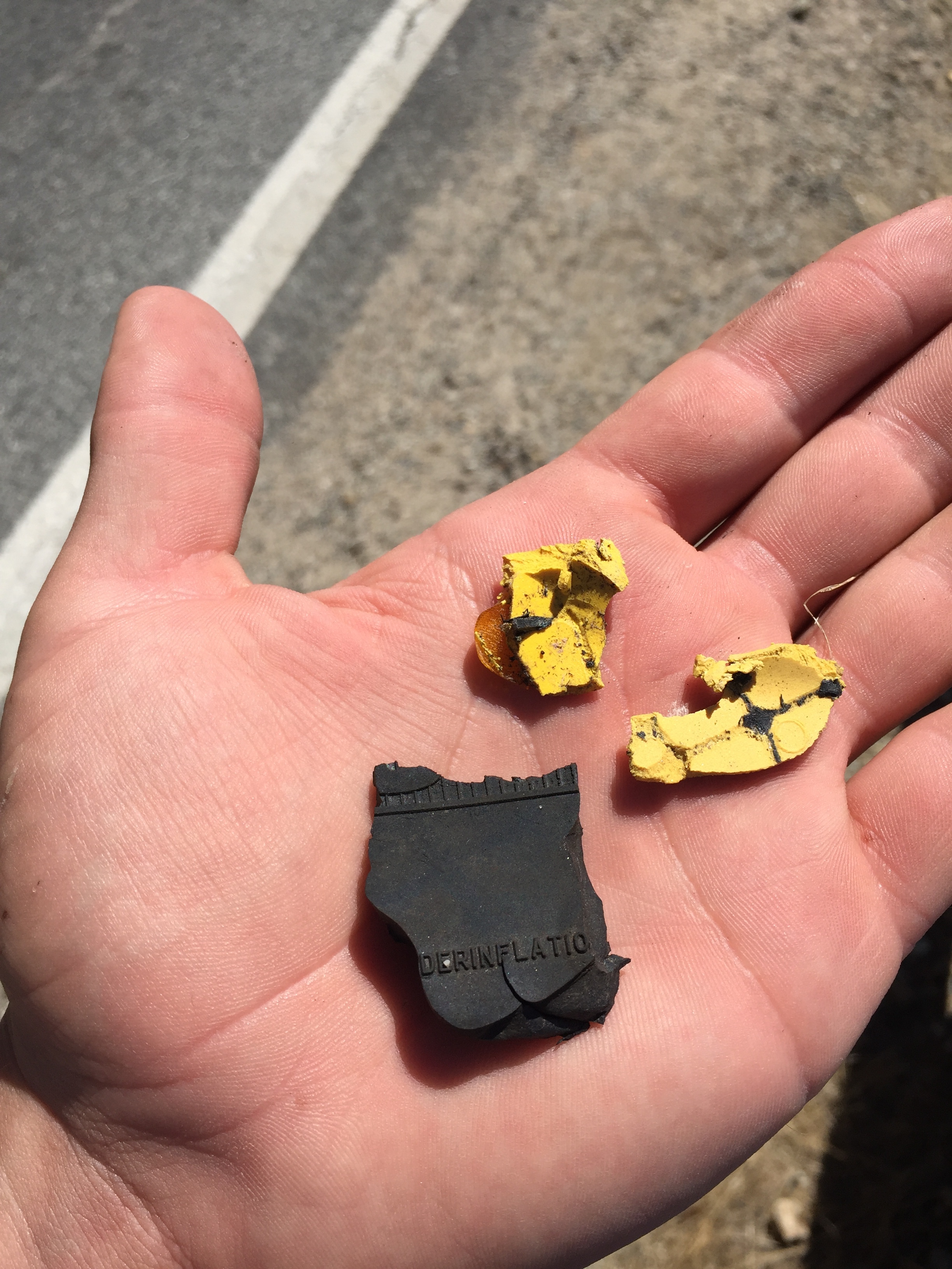 Pieces of micro-trash I found along the highway in a short walk from my car to the sea cliffs. 