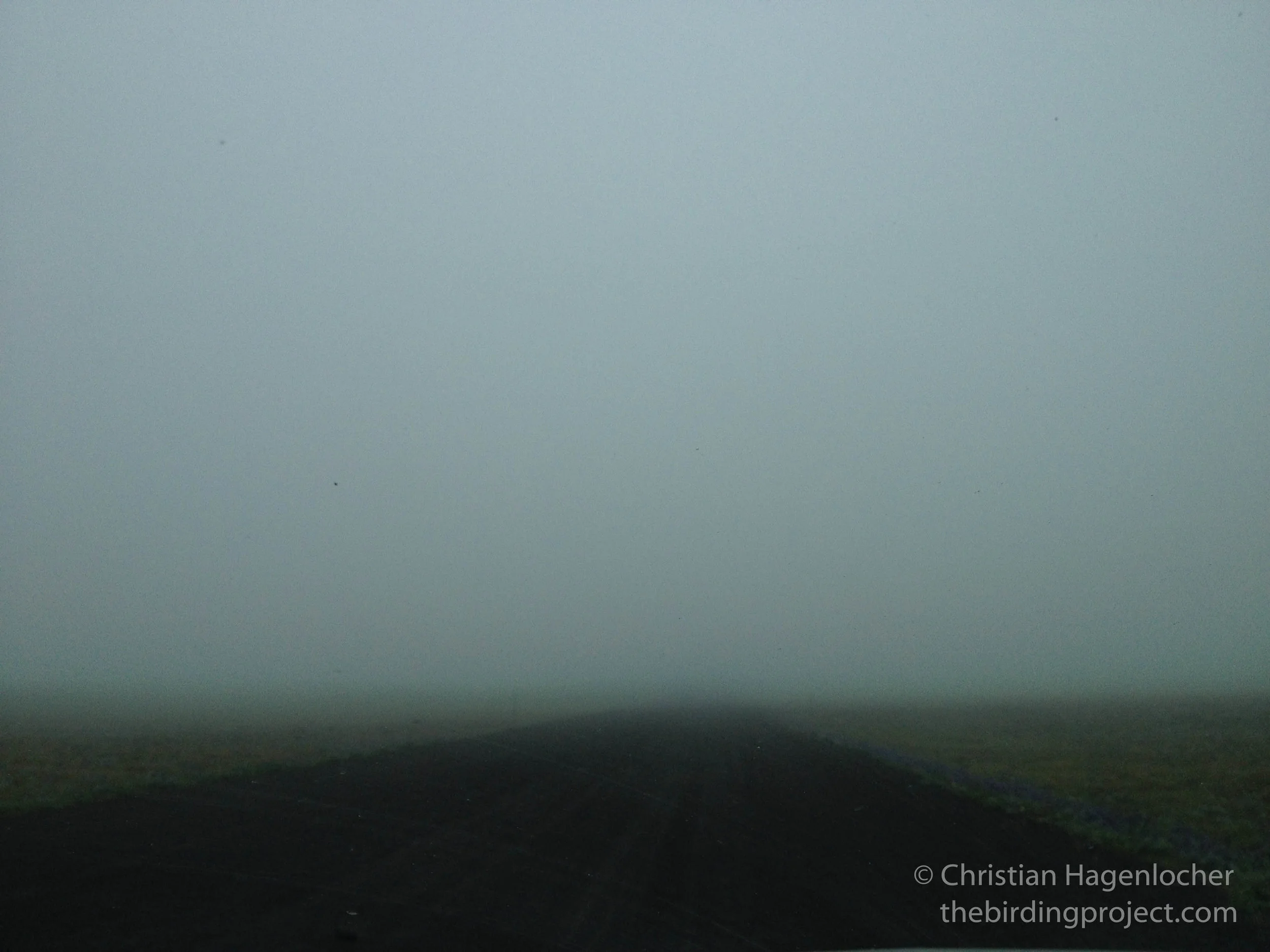 Driving to work on the morning of June 18th, the day I found the unknown whale on Zap Beach.