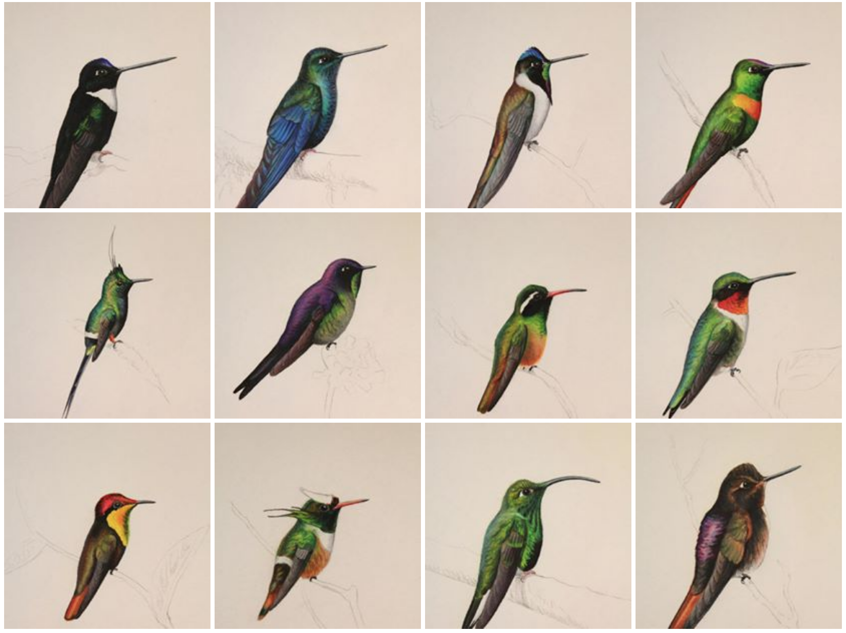 Hummingbirds done in amazing detail and accuracy! 