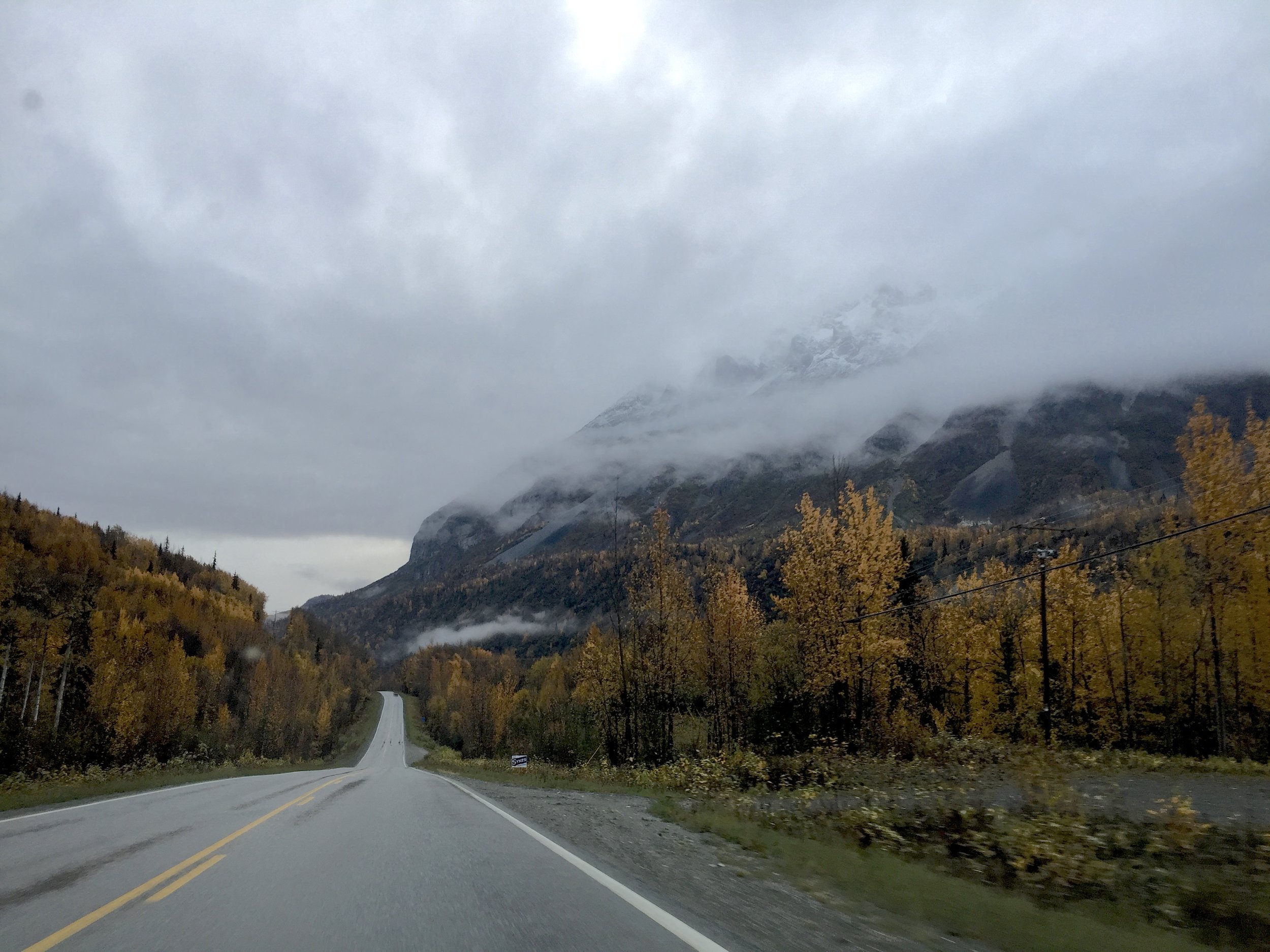 Even a quick iPhone shot captures the beautiful fall colors of Aspen and Poplar trees along the Glenn Highway