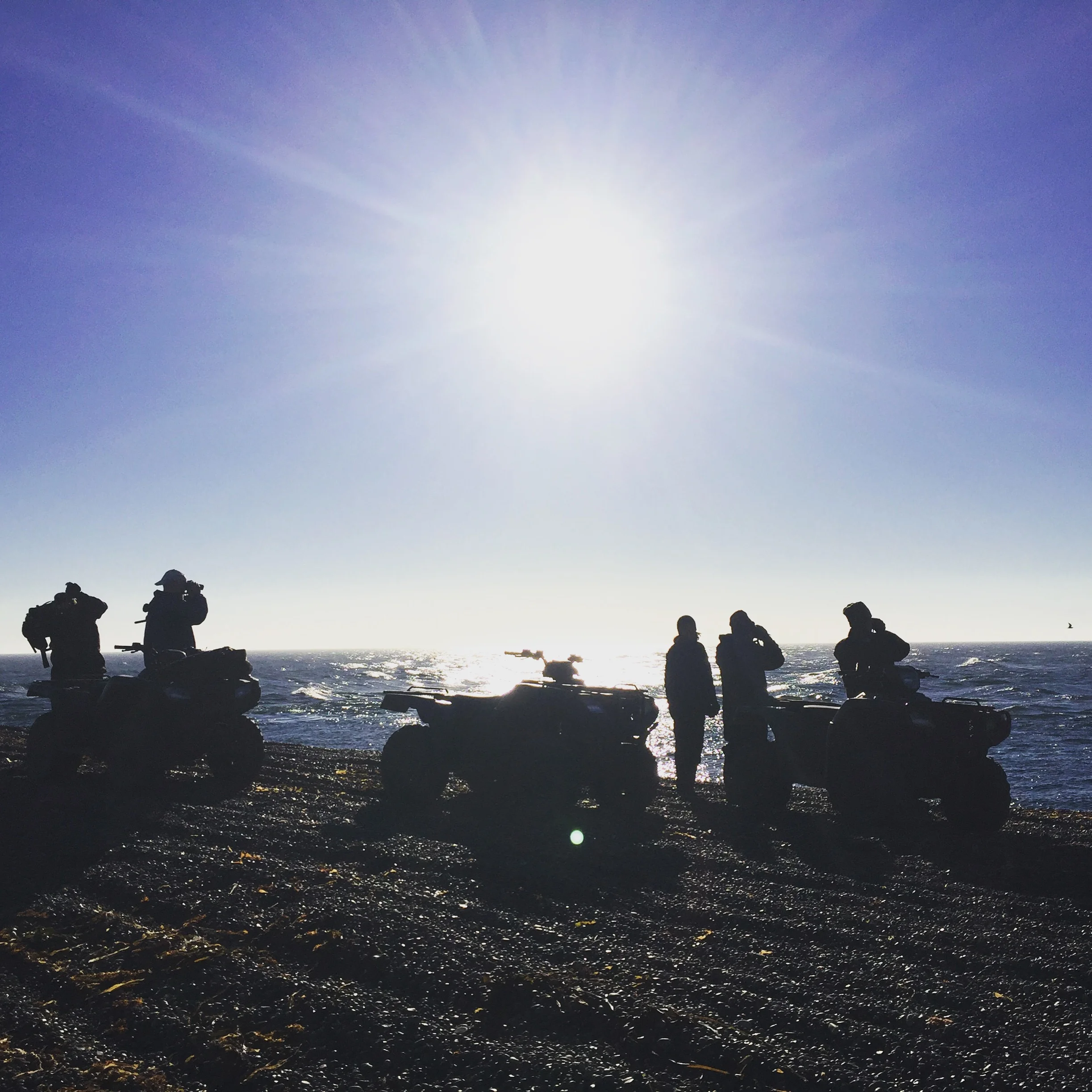 North Winds: A Gambell Update