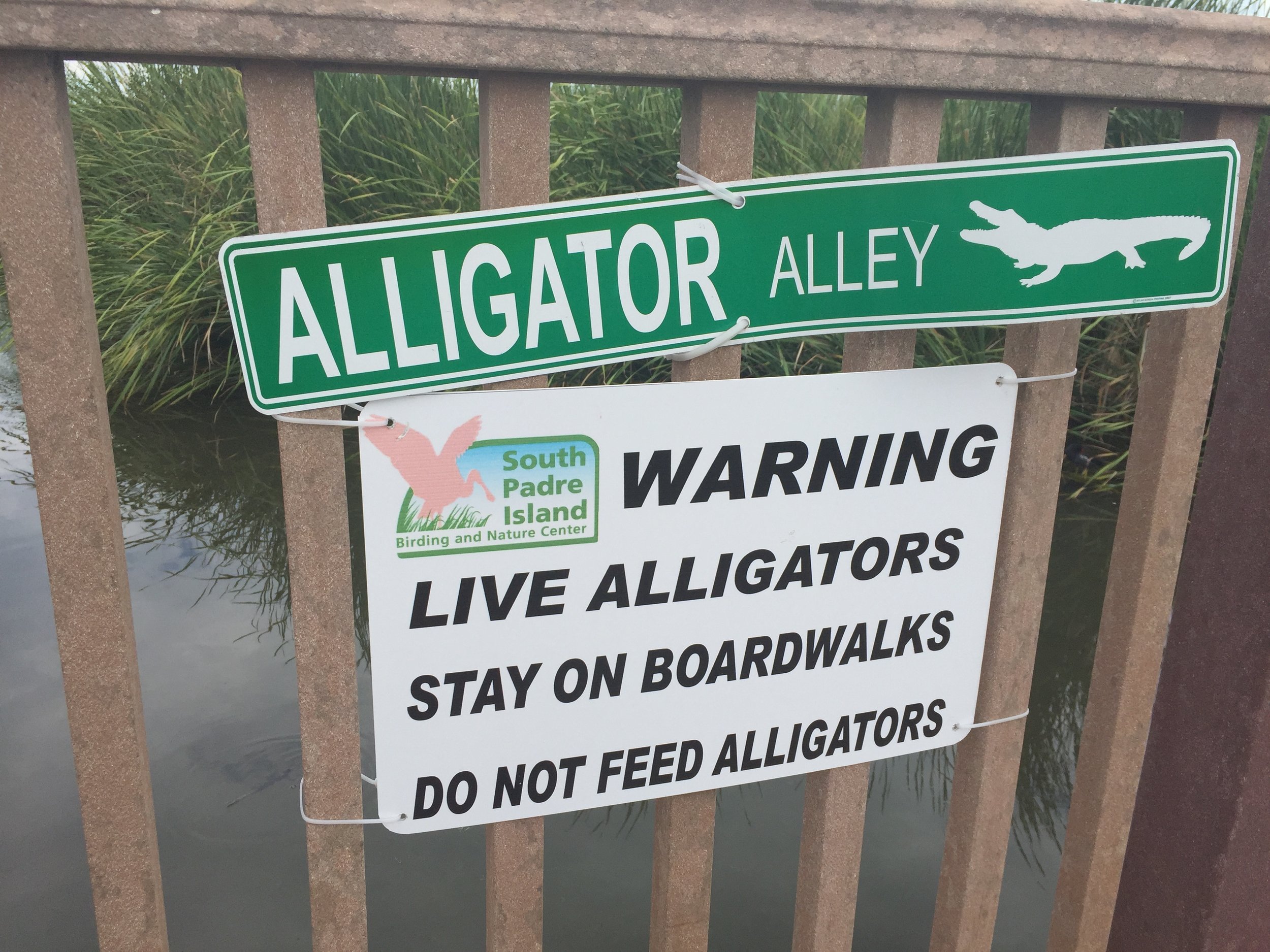 Pretty clear signage. I want to see an alligator! 