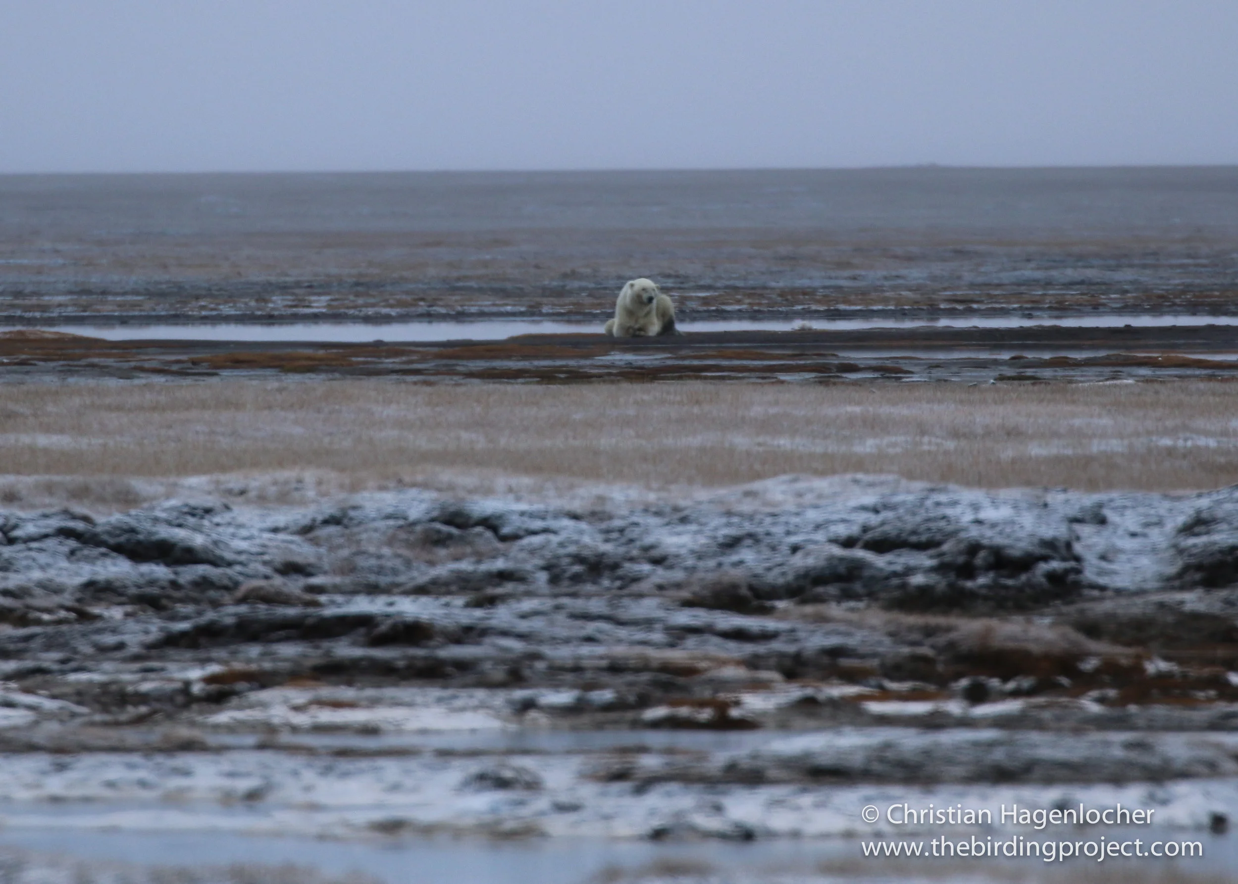 Above the Arctic Circle