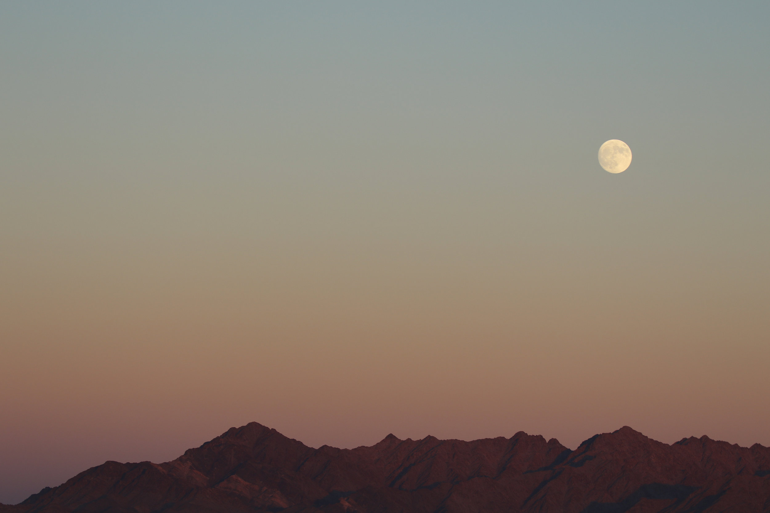 I enjoyed the sunset and moonrise on the Navajo Nation while searching for the Sand Plover