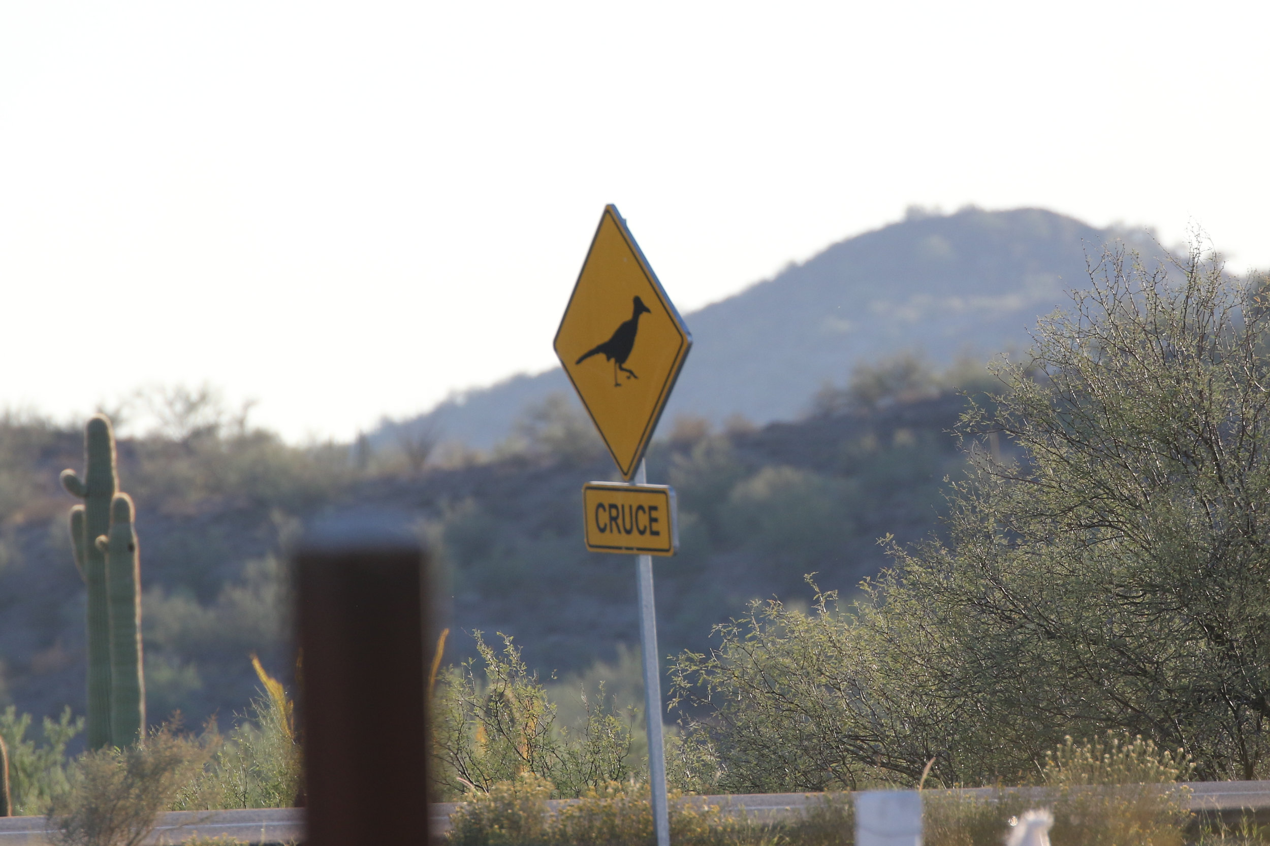 I could see Mexico's roads across the fence