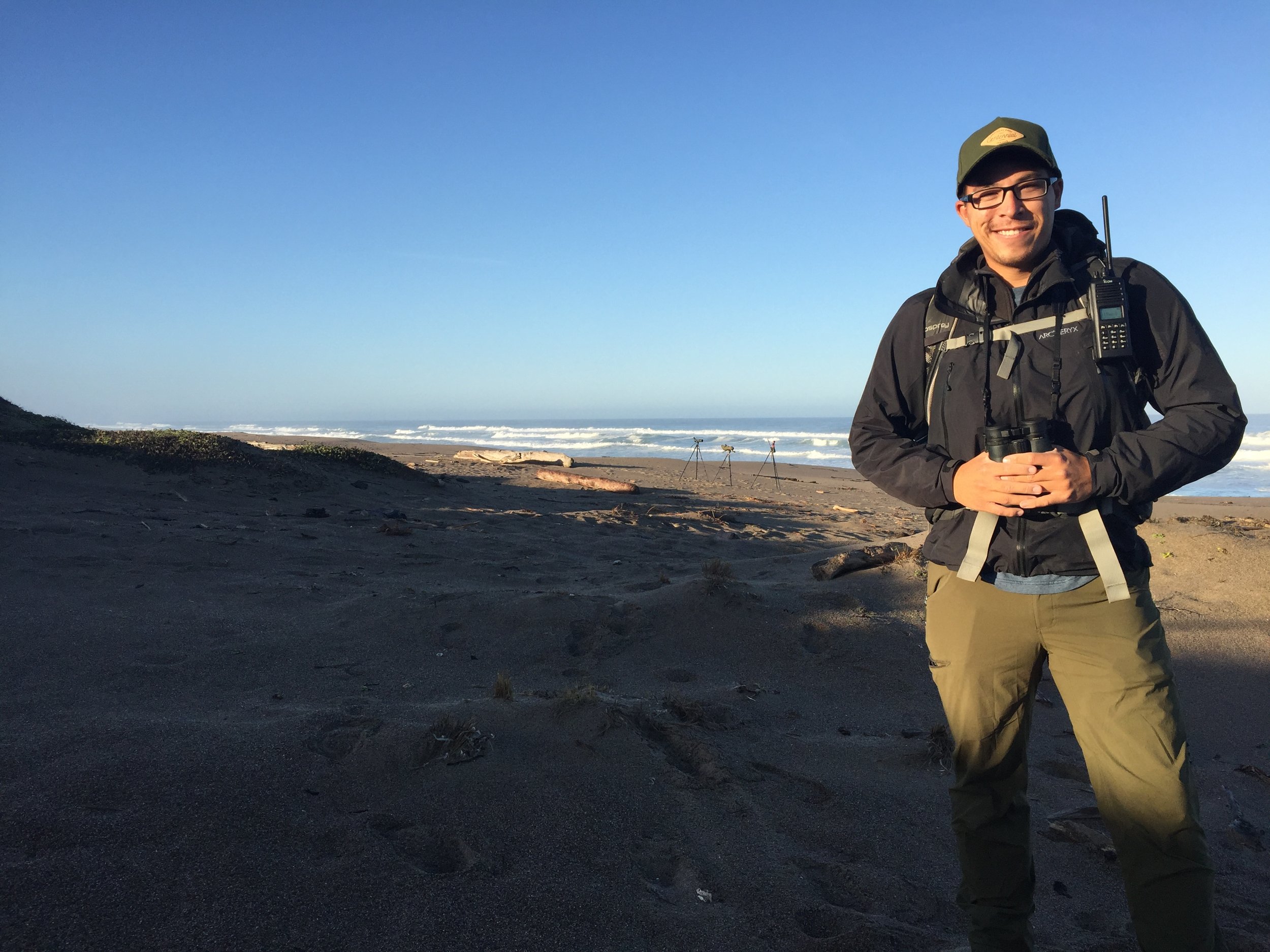 Matt Lau found the Lesser sand-plover while conducting Snowy Plover surveys along the beach in California.