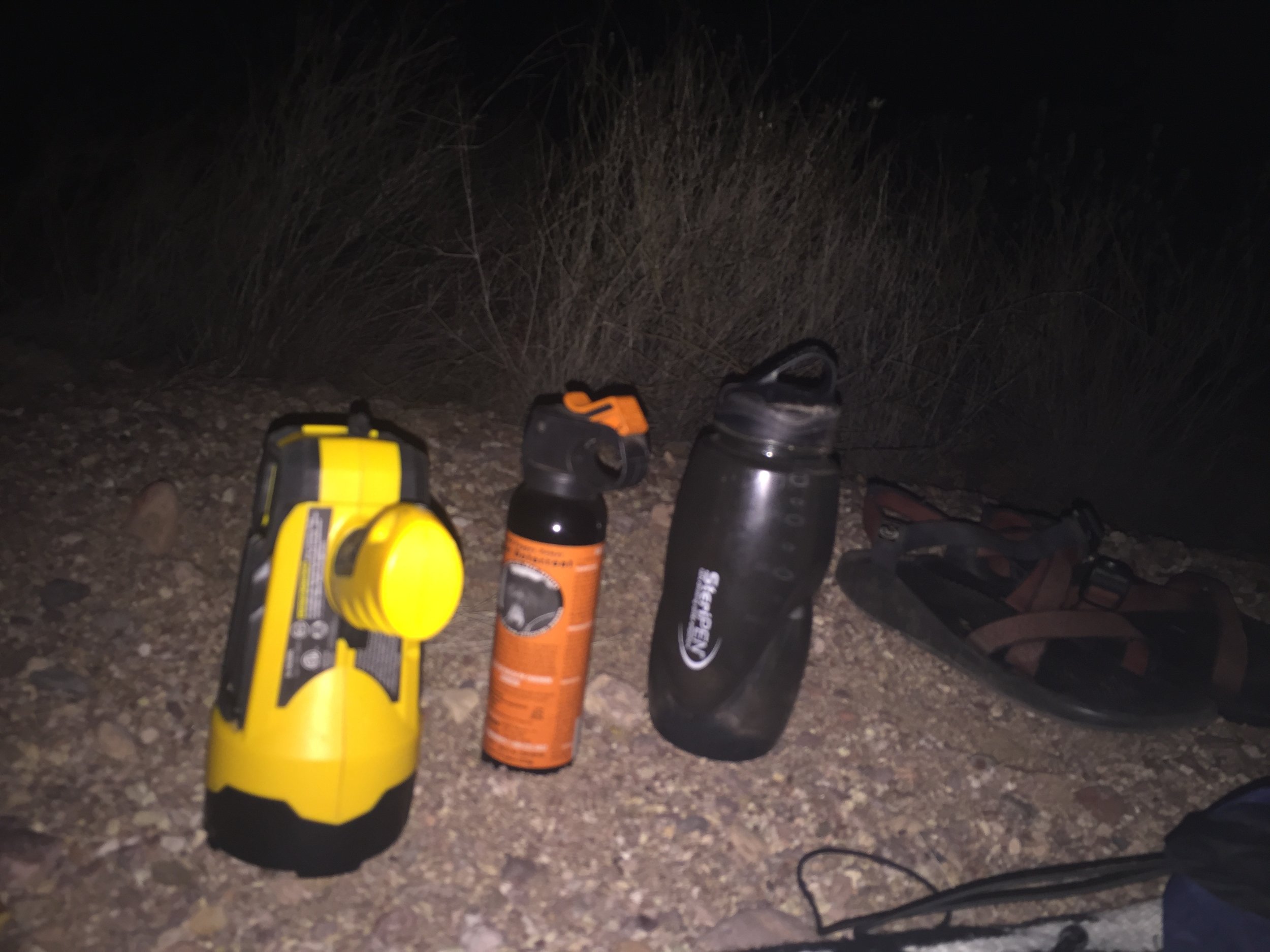 The bare necessities of owling in the desert at night.