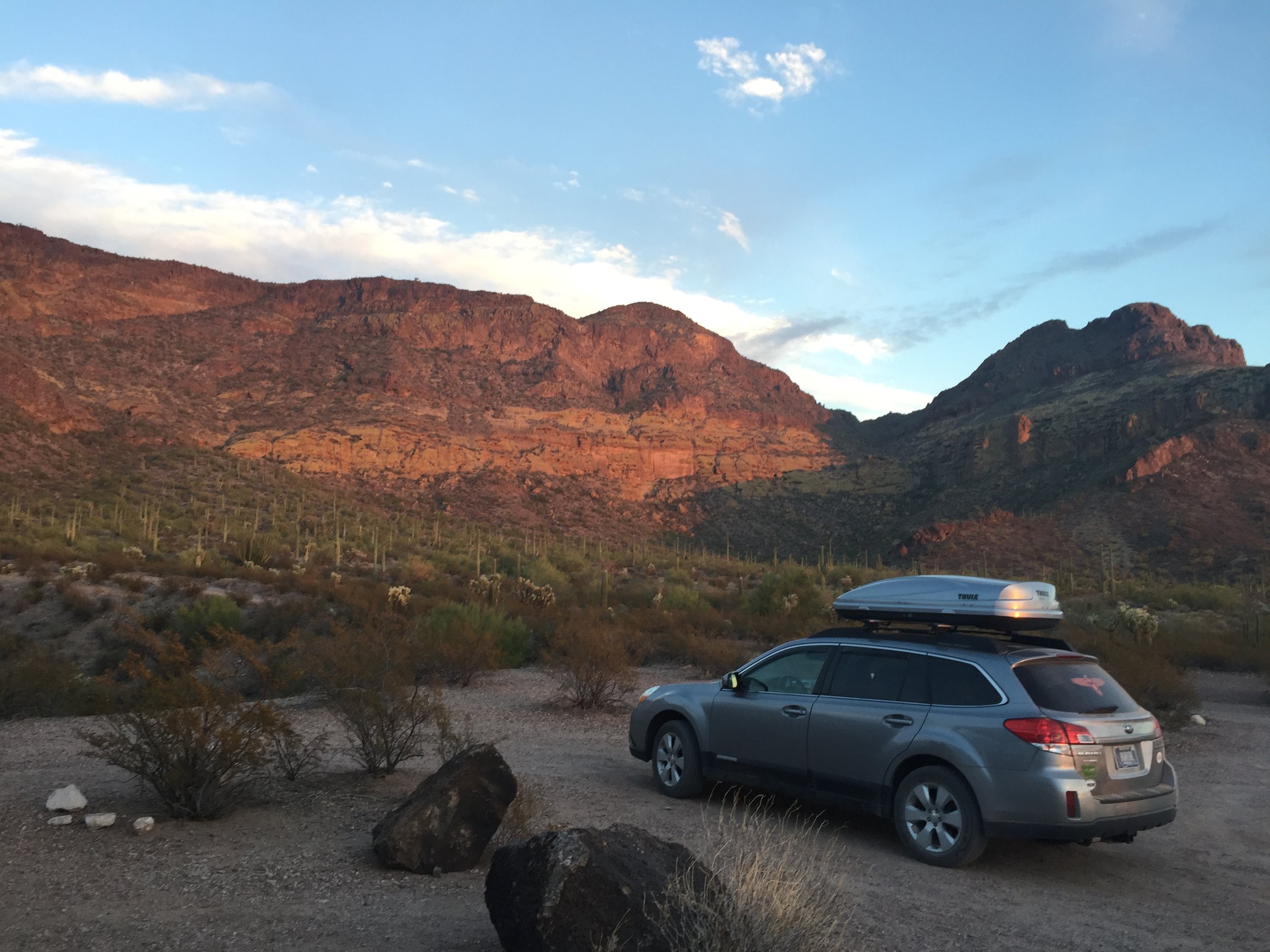 A quick stop to call owls on my way up the road to the trailhead in Organ Pipe NM, Arizona