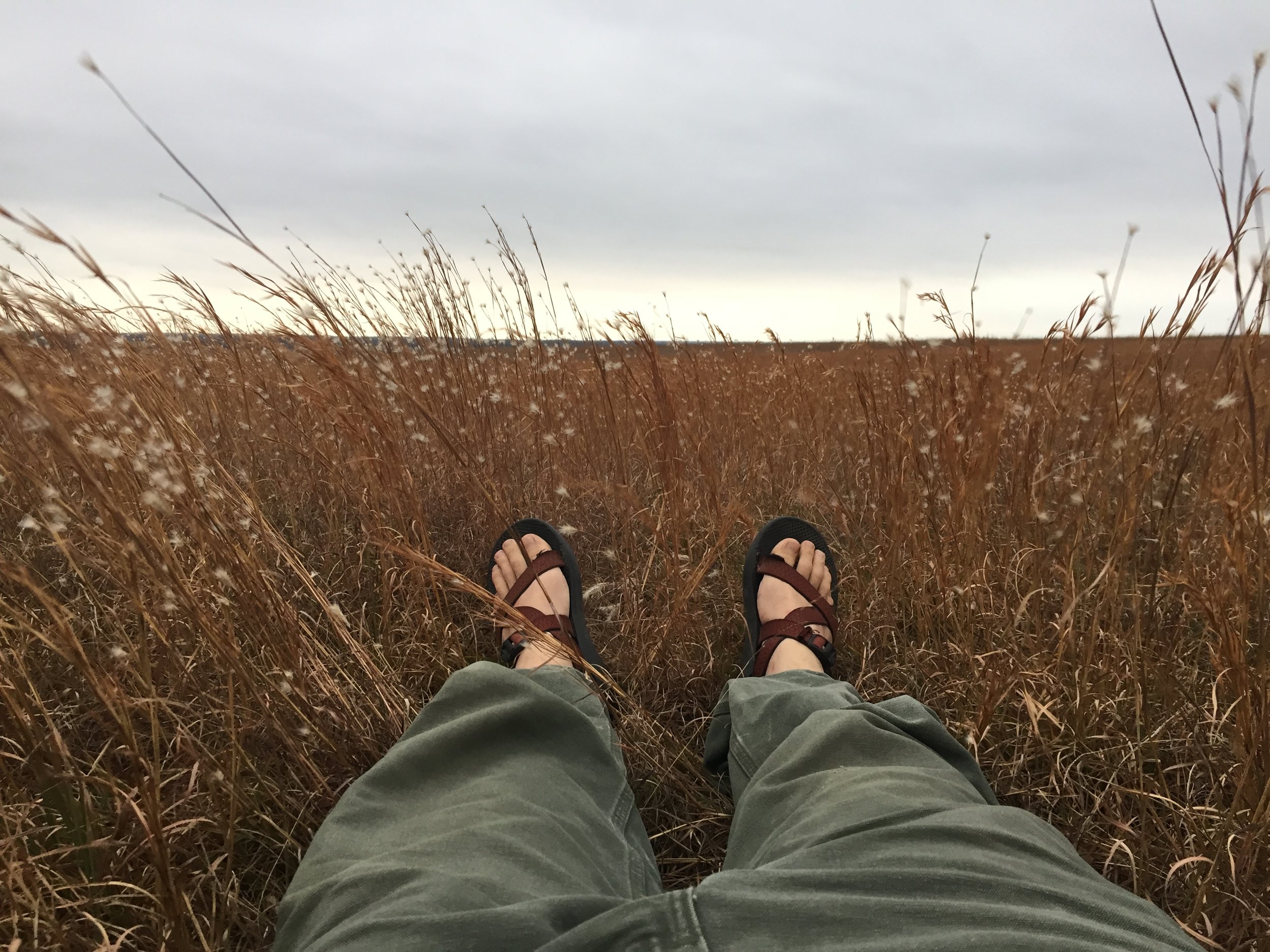 Fall on the prairie