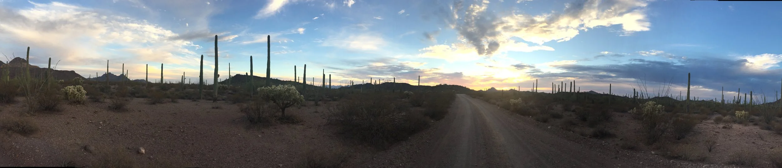 What Happens After a Big Year?