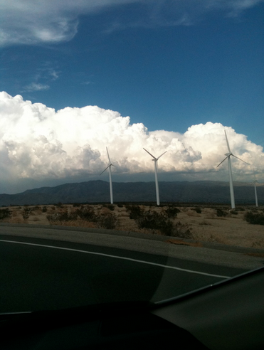 Building summer cumulus.