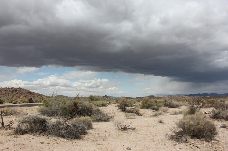 Early winter cumulus build over Joshua Tree National Park.