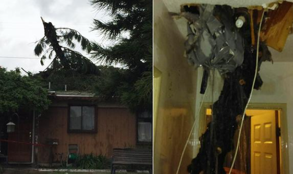 Tree branch falls through roof in northern Orange County.