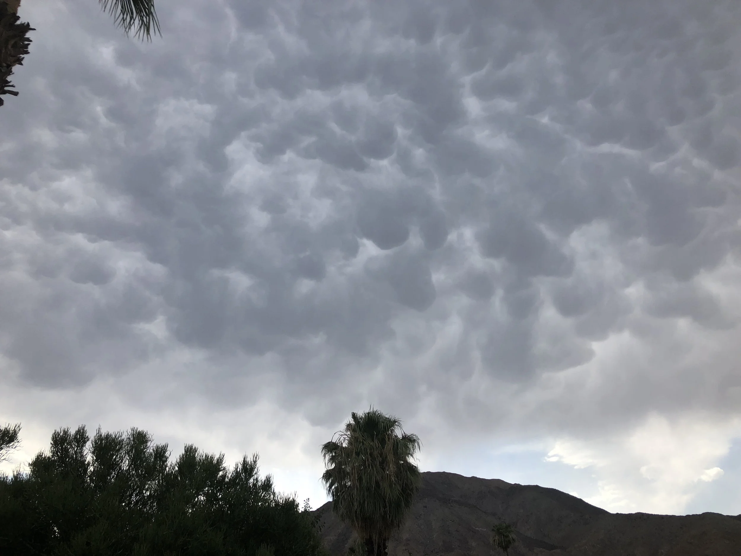 Mammatus cloud formations from several days ago, south of Rancho Mirage.