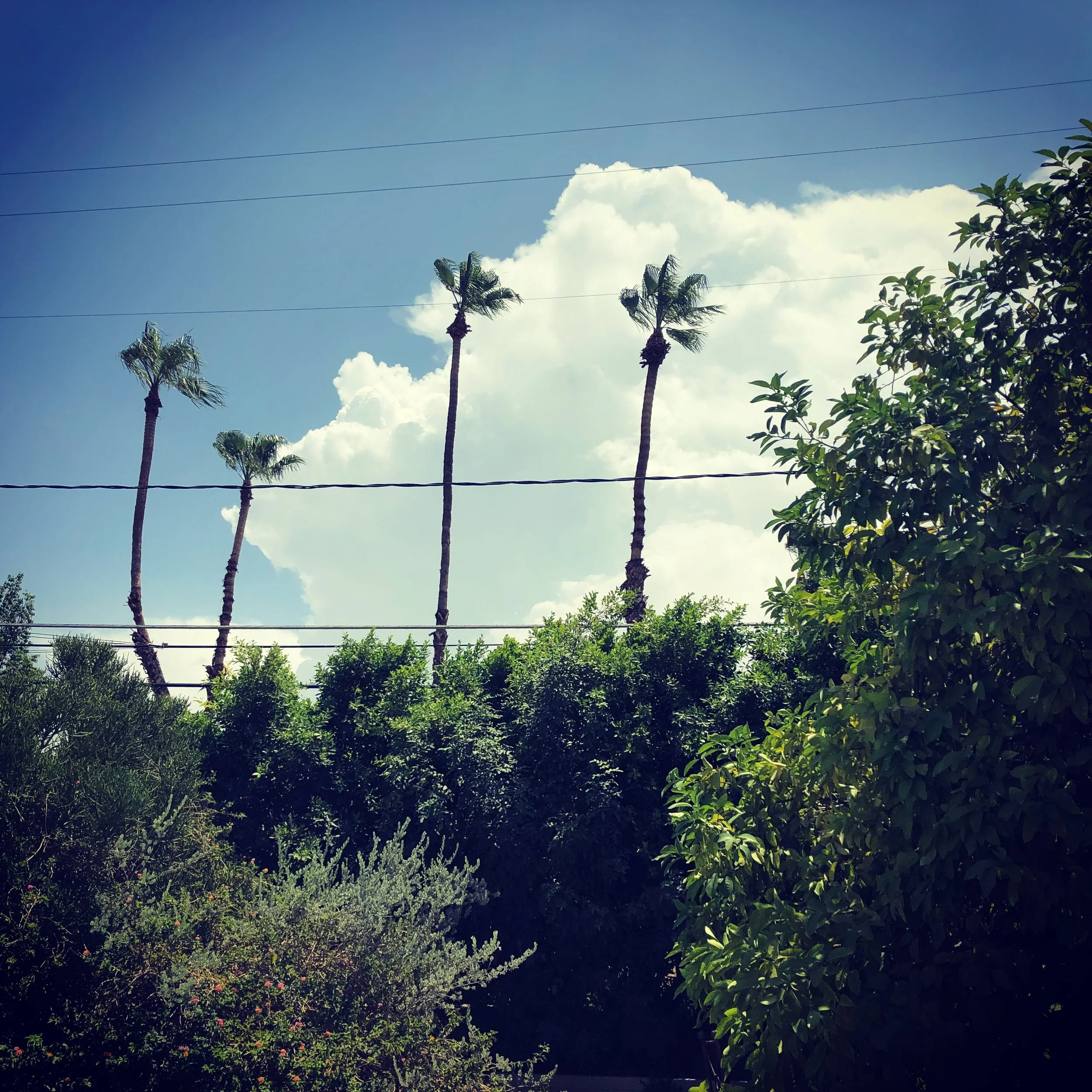 Thunderstorms were common last week over nearby mountains... but they have been largely missing the past several days,