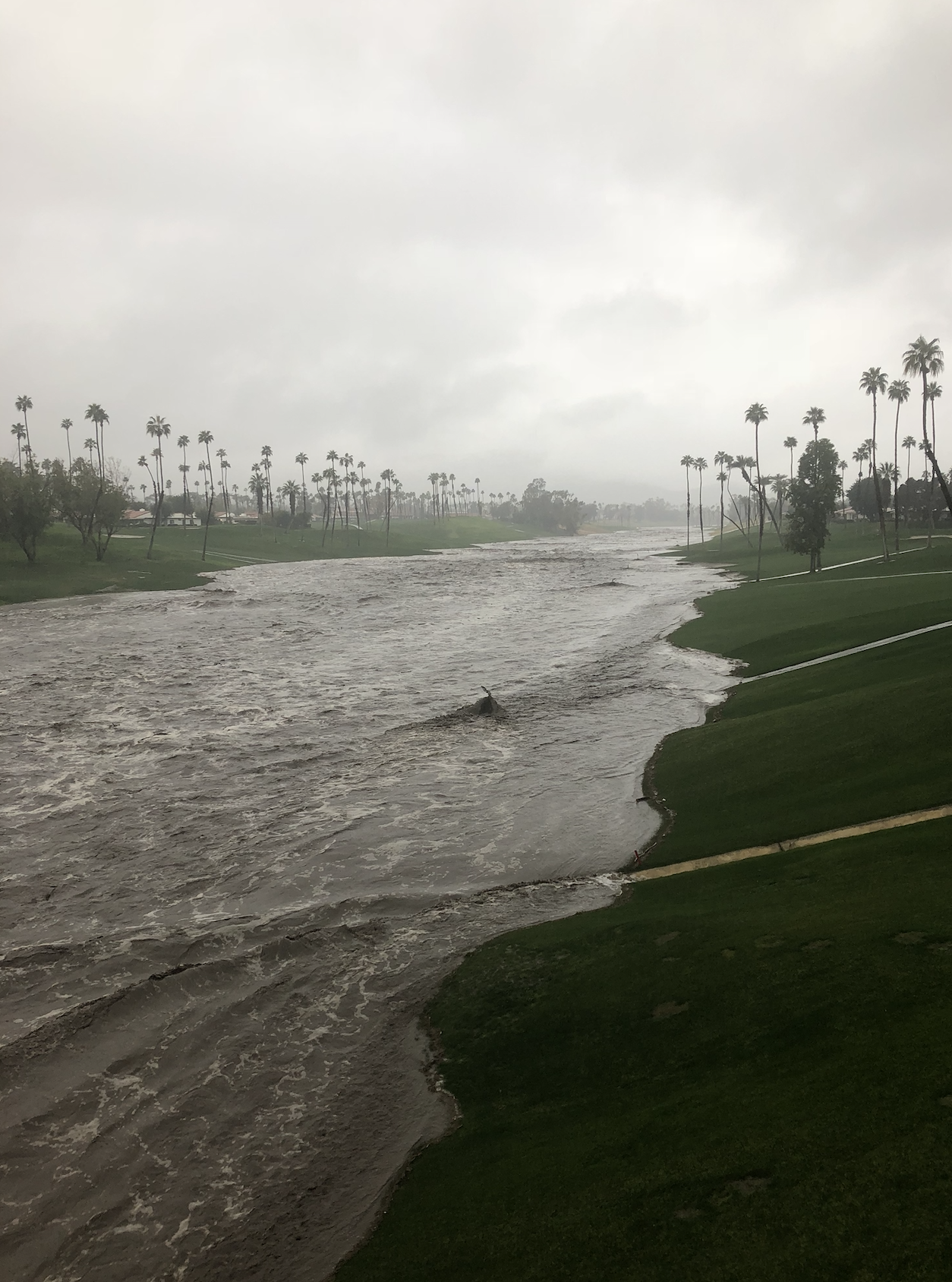 Whitewater River in Palm Desert at Monterey Rd.