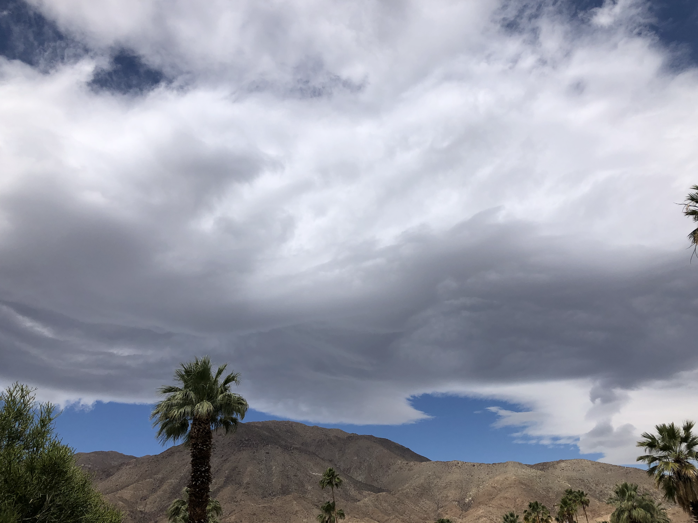 Lenticular clouds are forming over our mountains this afternoon, ahead of yet another cold front.