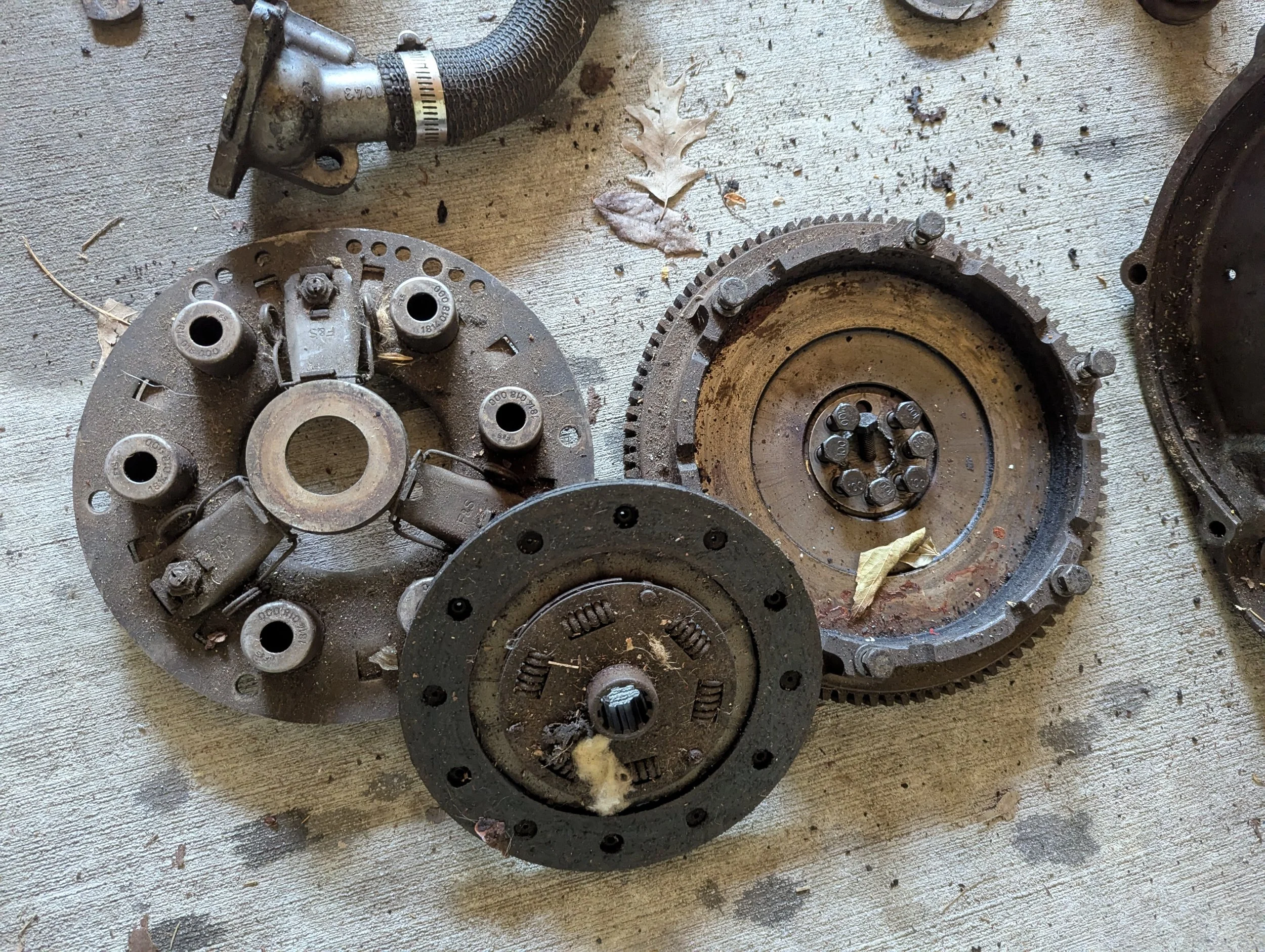 PXL_20250505_200554618 (1).jpg