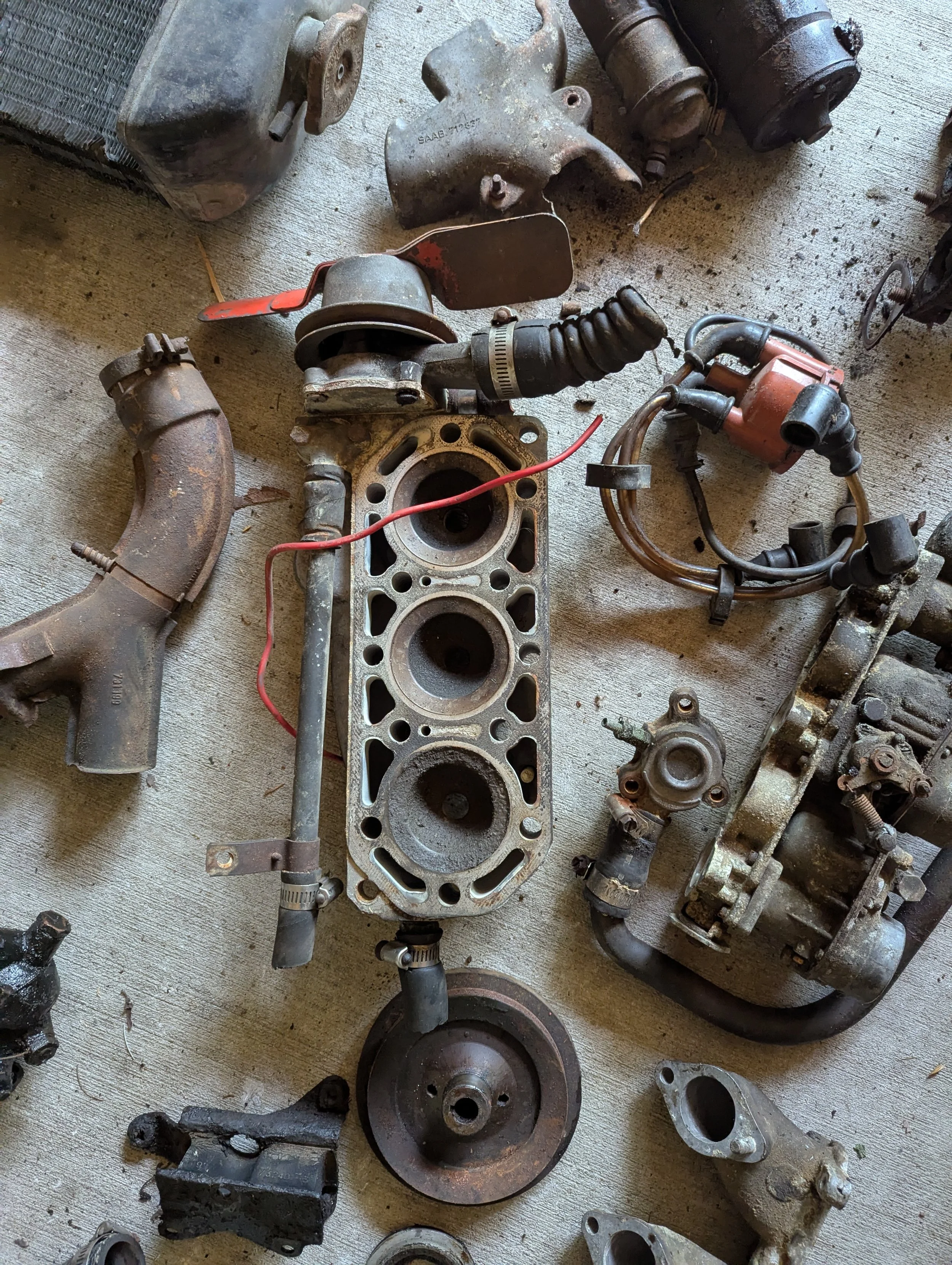 PXL_20250505_200606446 (1).jpg