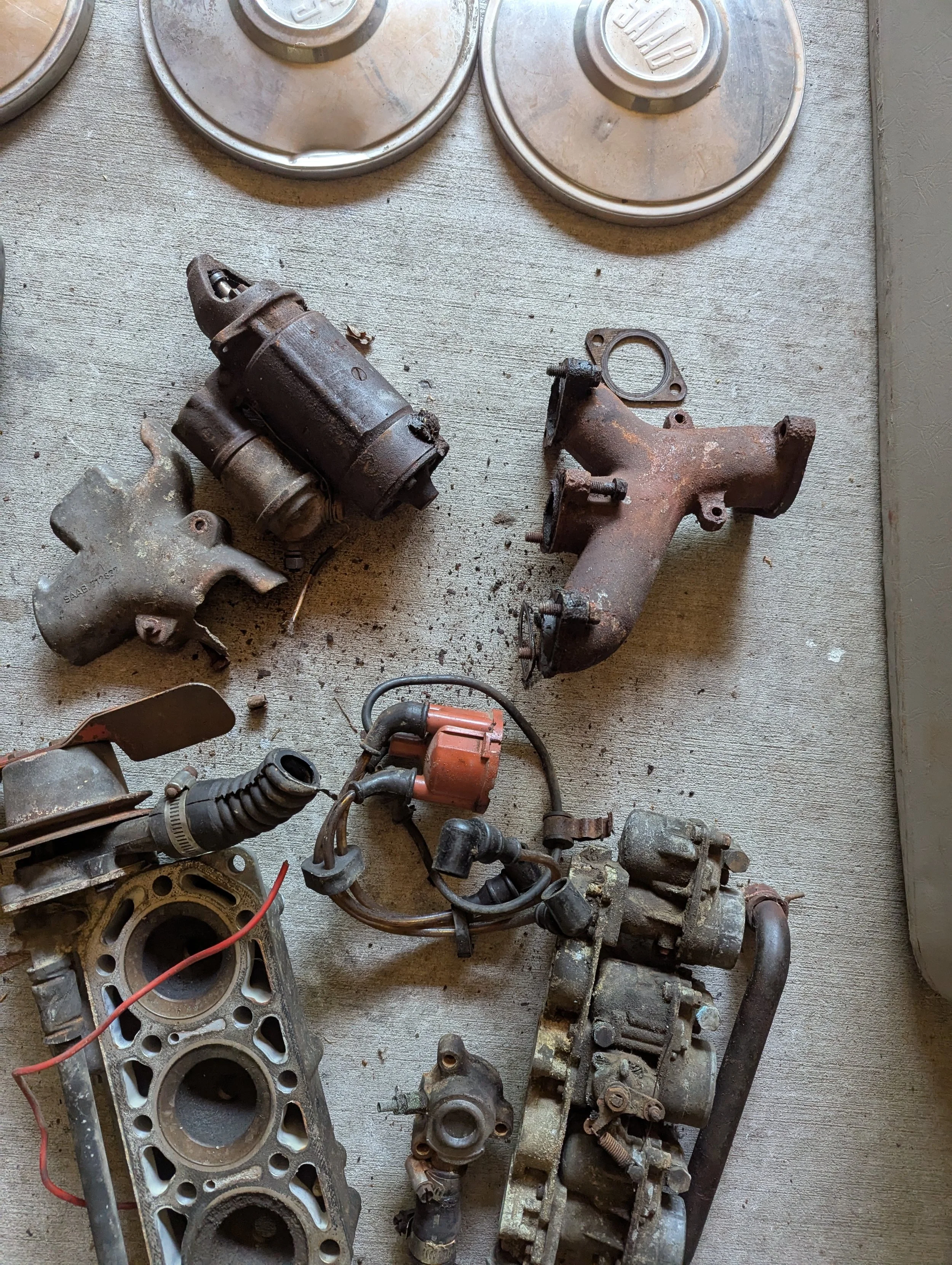 PXL_20250505_200608640 (1).jpg