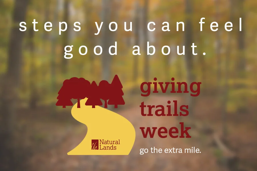 GivingTrails-Steps2020.jpg
