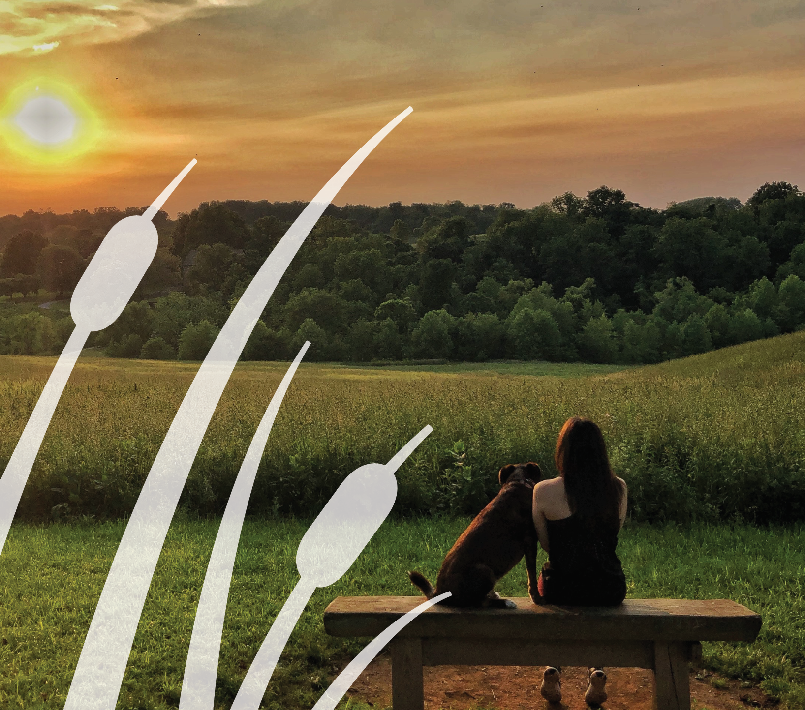 Screen Shot 2021-10-22 at 2.09.56 PM.png