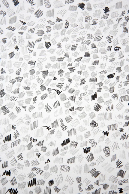 Detail: Untitled Mark Vll Graphite on Paper 22 X 30"