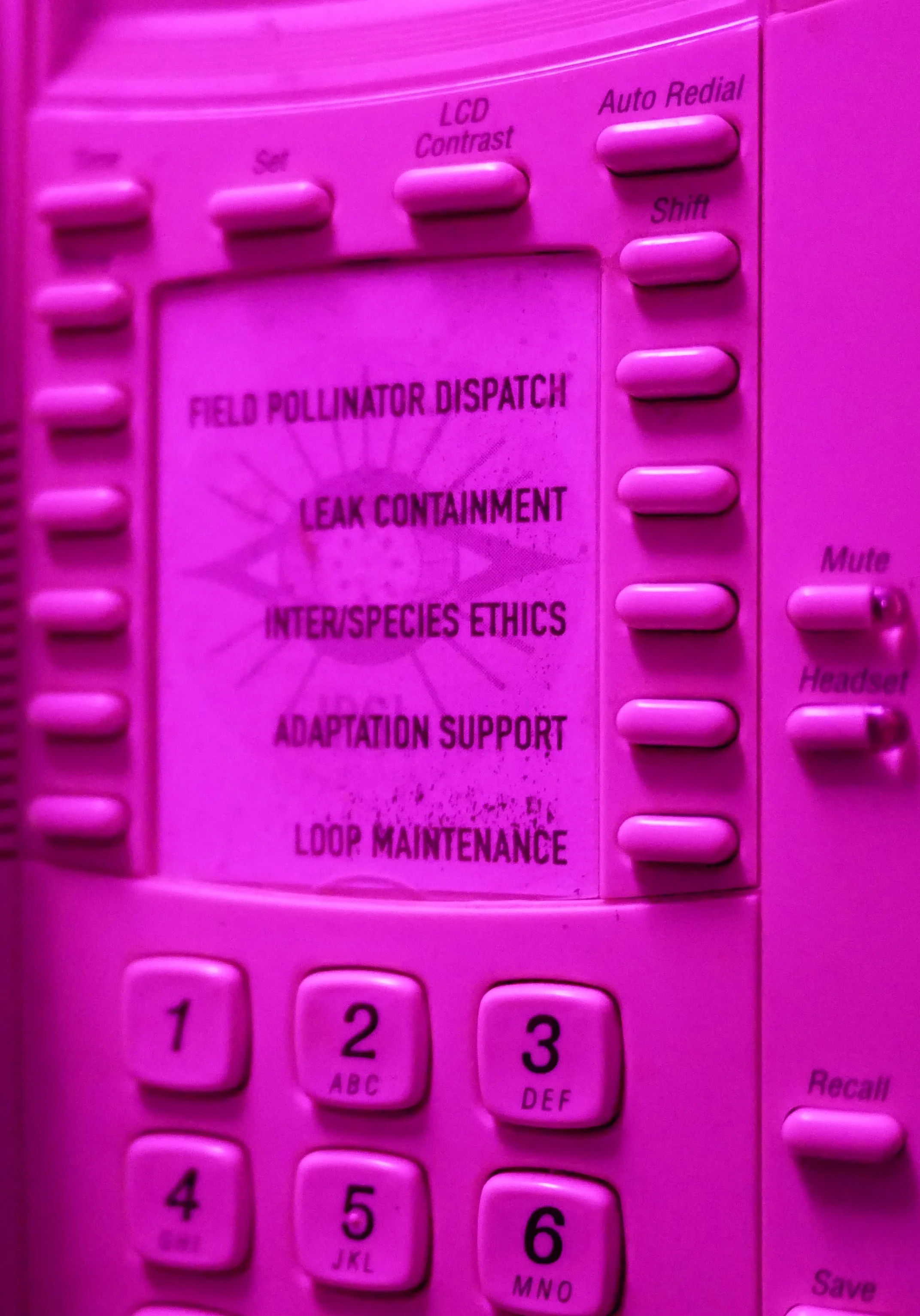 AberrantPlexus_zoeticaebb_10s.jpg