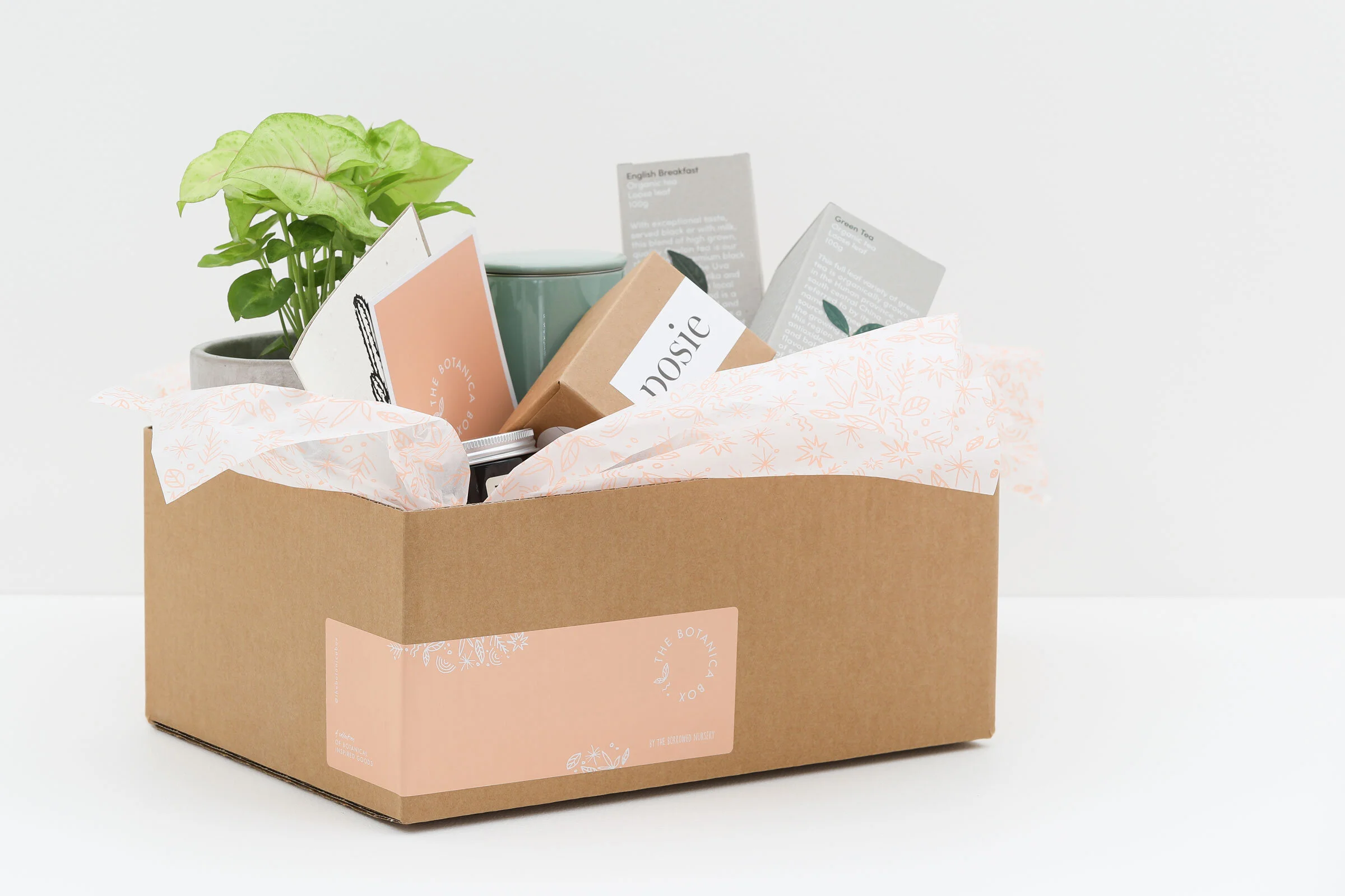 Botanica Box — ArtWork Agency