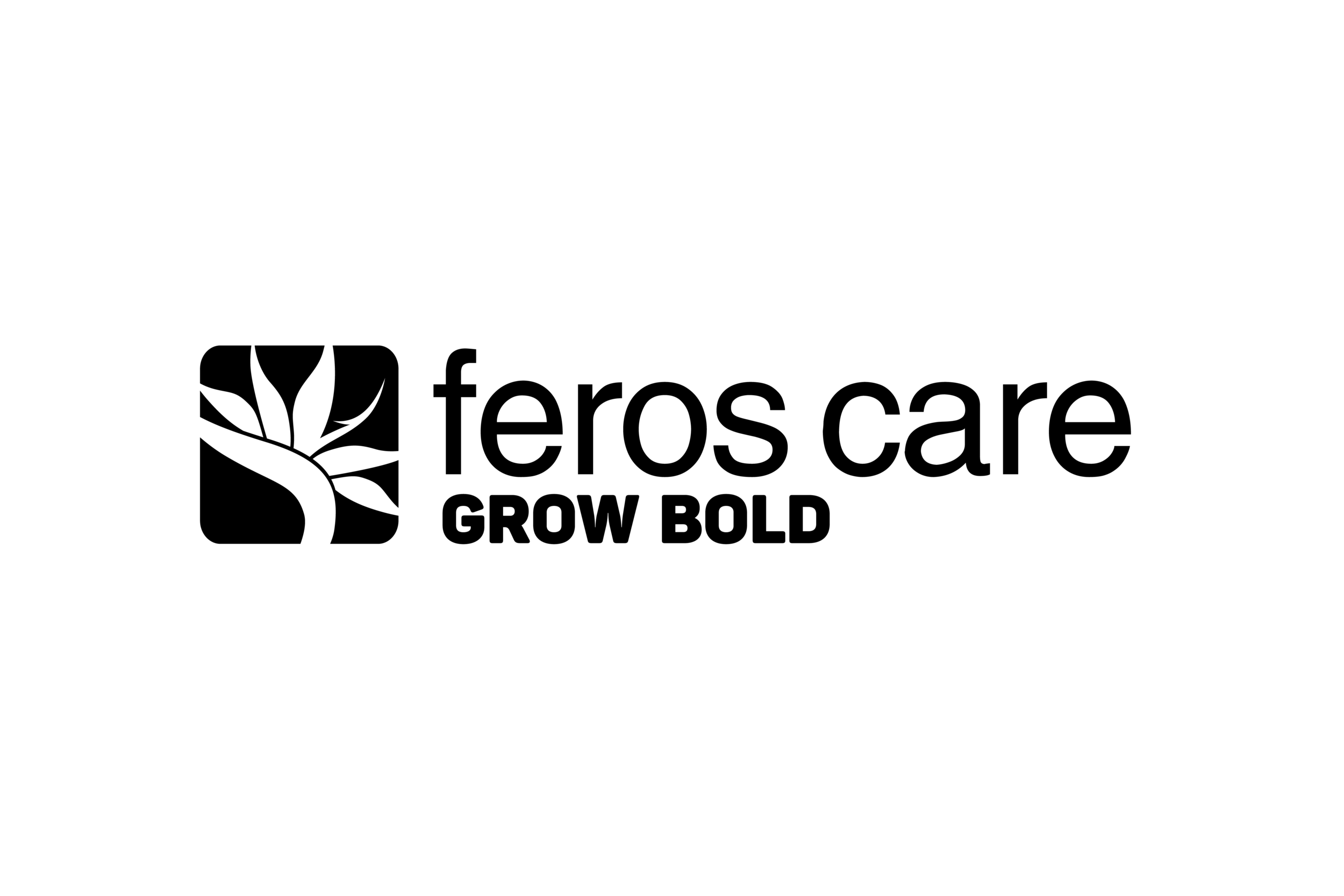 AW_Website_Client-Logo_FEROS.png