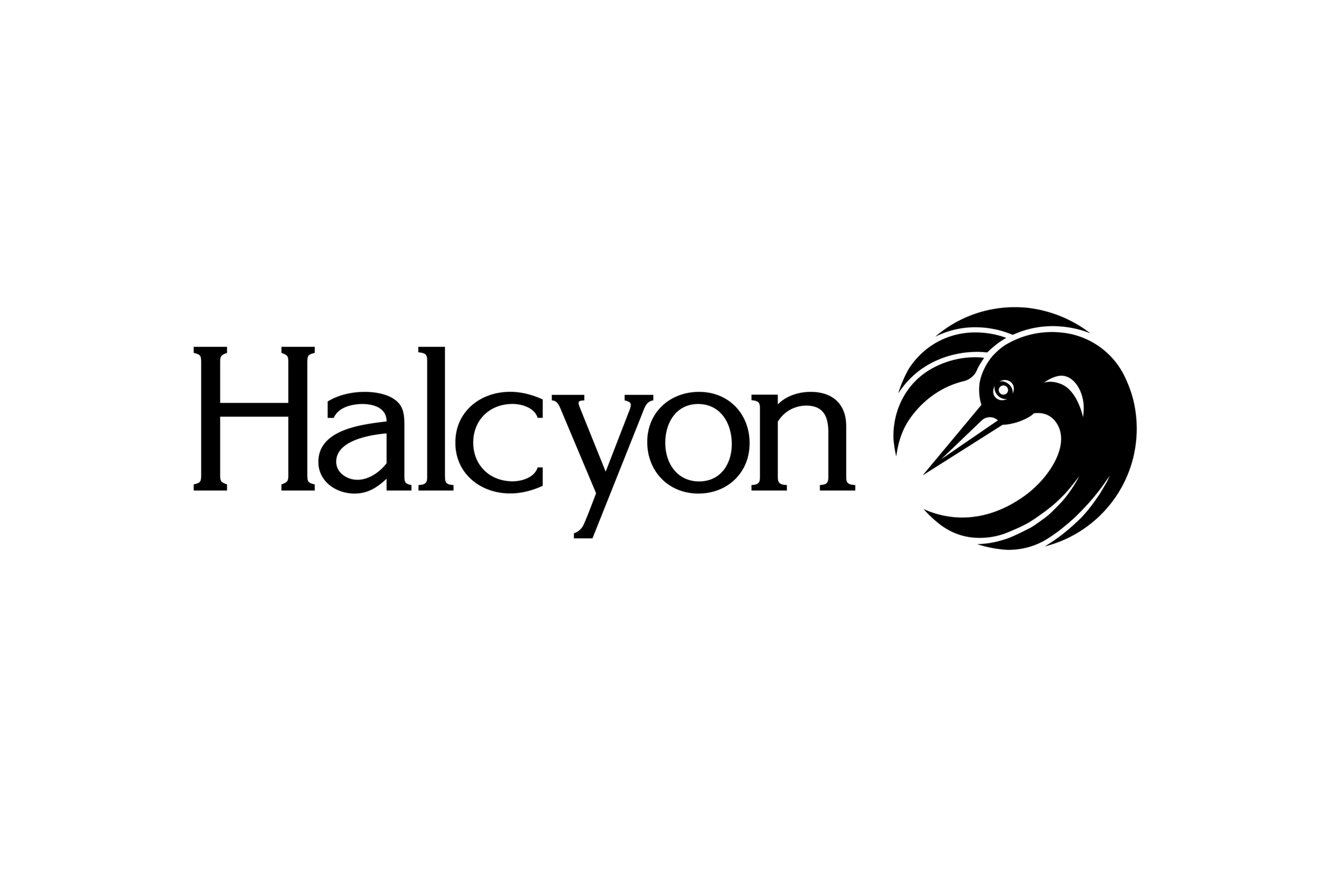 AW_Website_Client-Logo_HALCYON.png