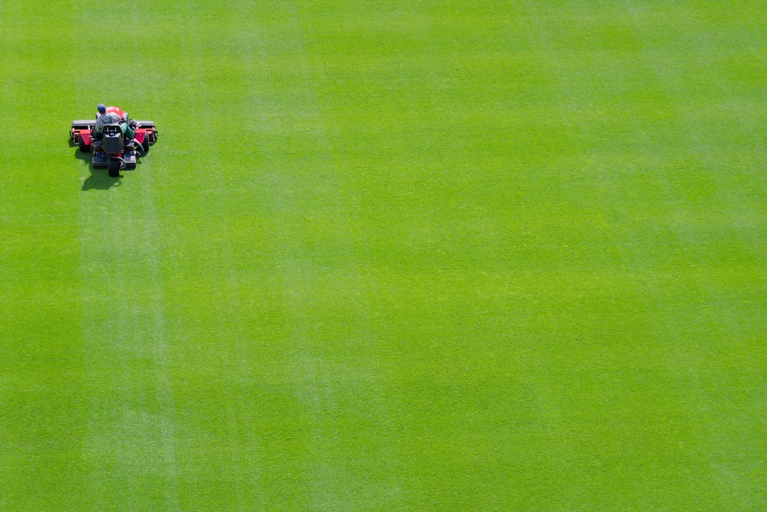 Purch large lawn worker mower OLCA shutterstock_185762366.jpg