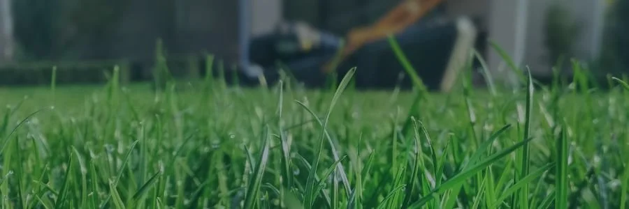 Copy of Header OLCA Field Day.jpg