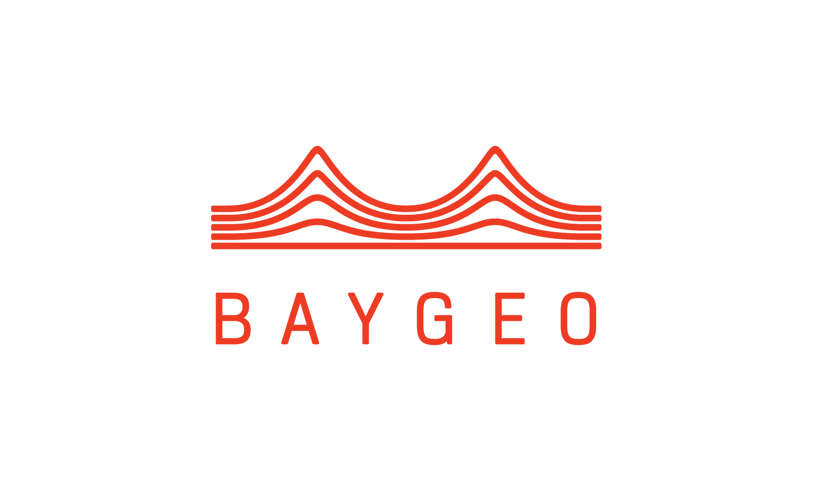 BayGeo_mark.png