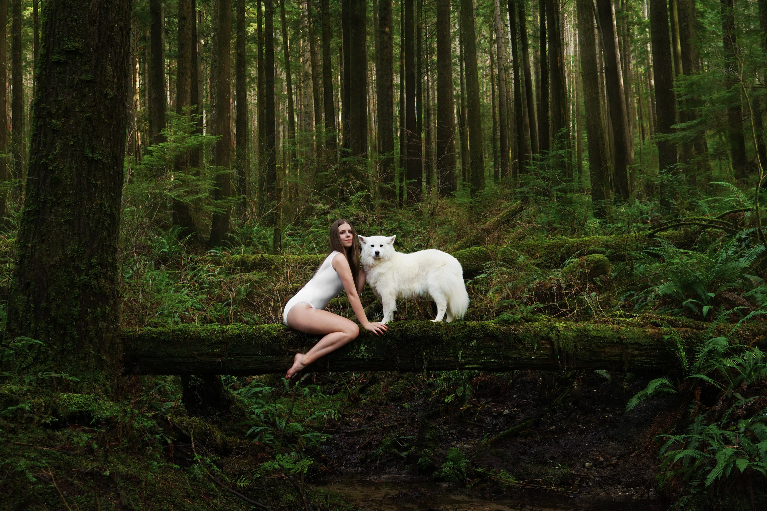 Pack Of Two - Bound to each other, bound to the earth a symbiotic freedom is unveiled in honoured companionship. 20x30"